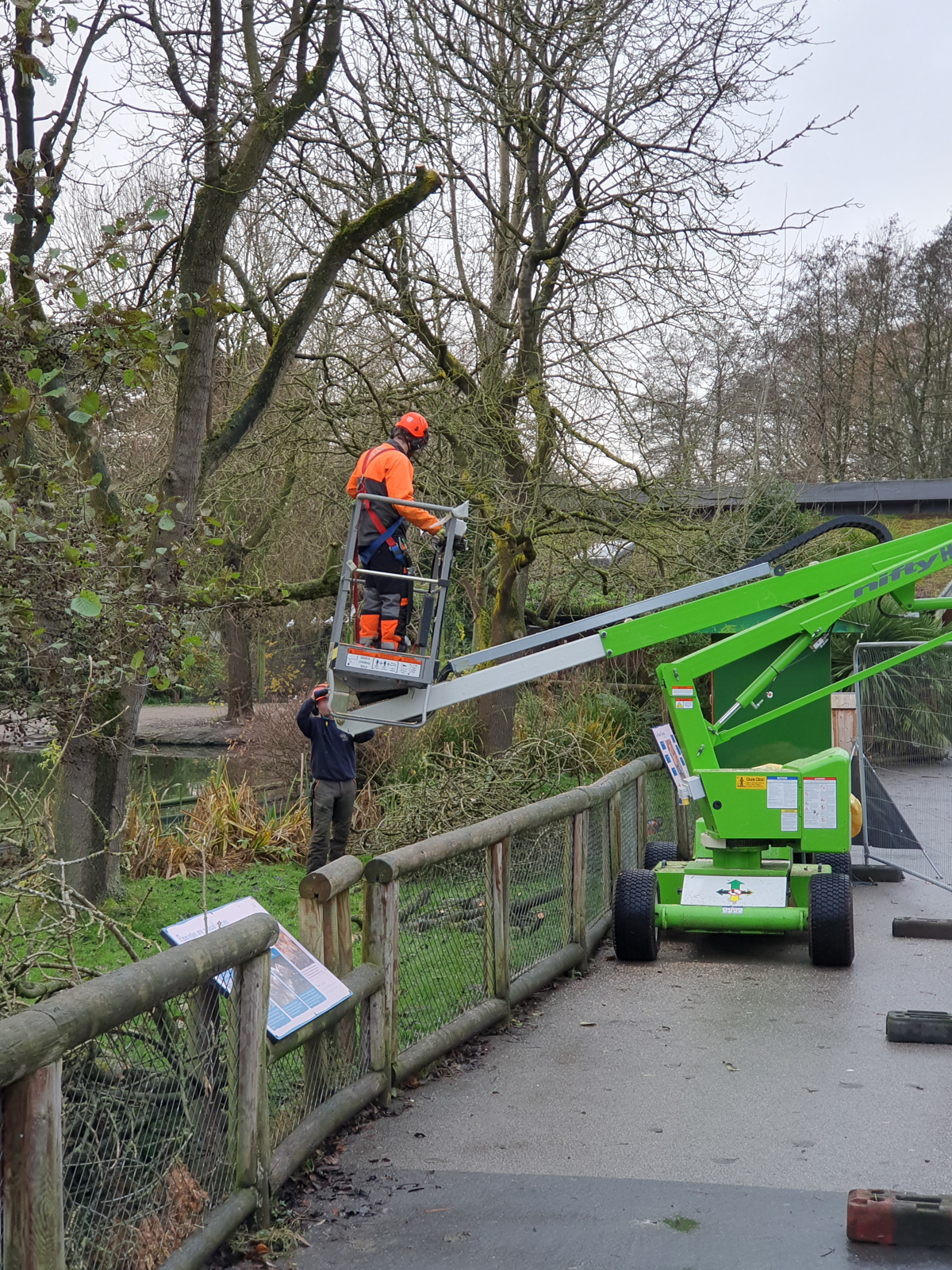 Tree Pruning (New Aviary) - 27/11/2019