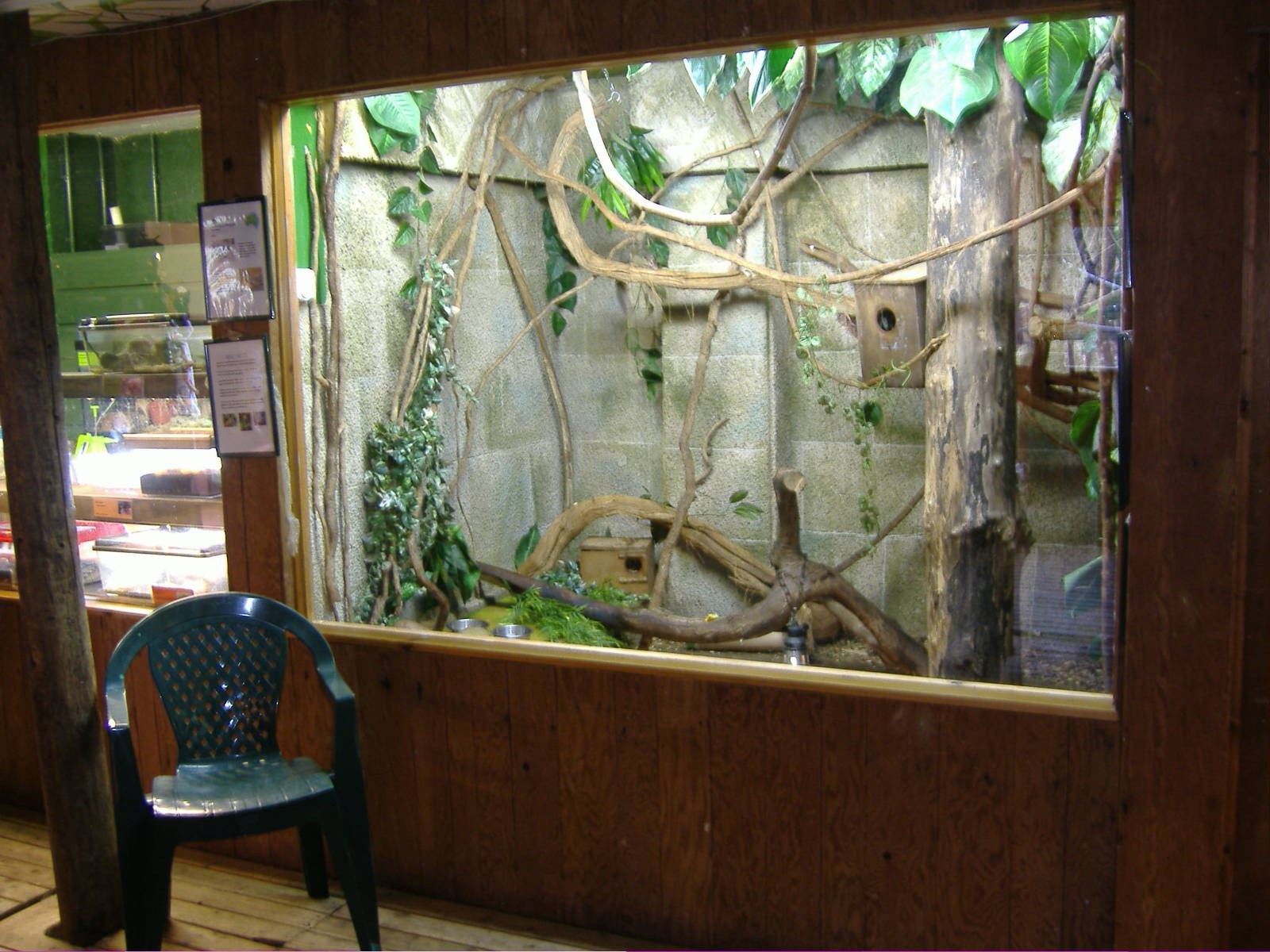 Tree Shrew and Tortoise Shaldon Zoo