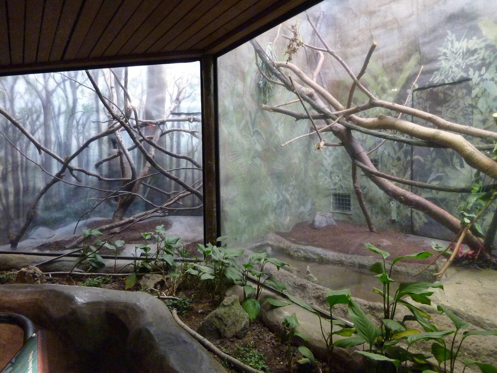 Tree Shrew + Burmese Python Exhibits