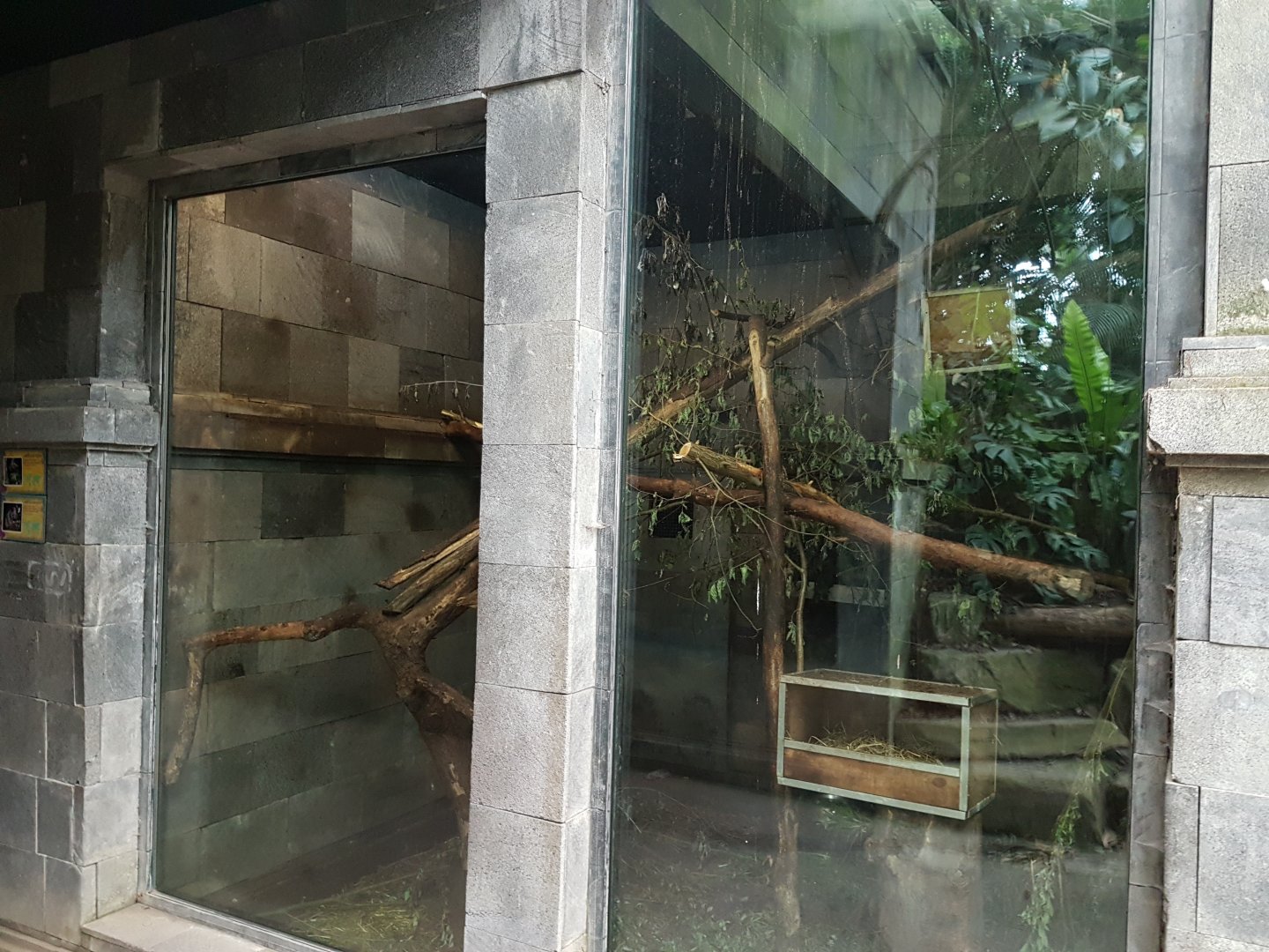 Tree-shrew - clouded rat enclosure