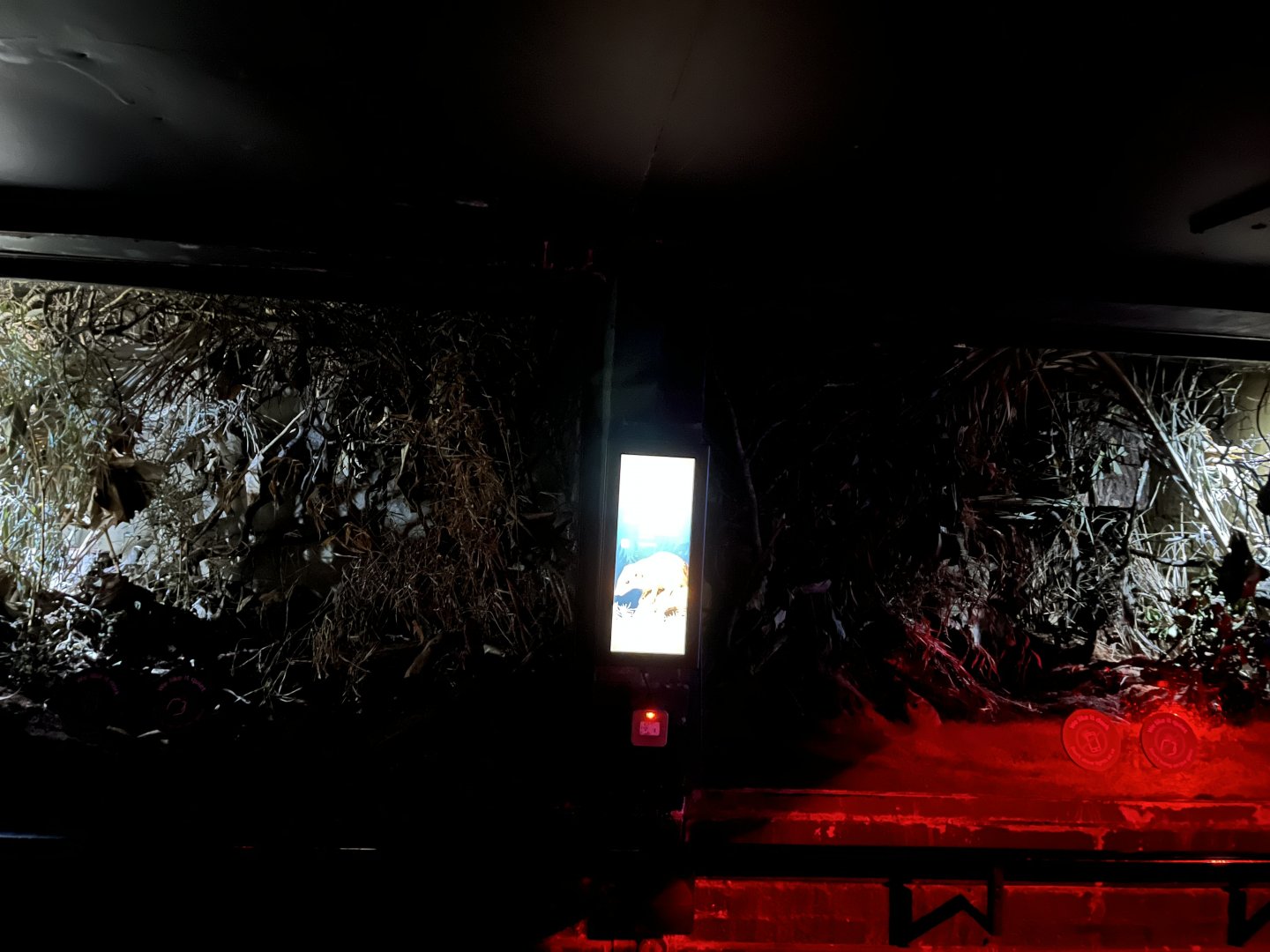 Tree shrew enclosure 11.2.25