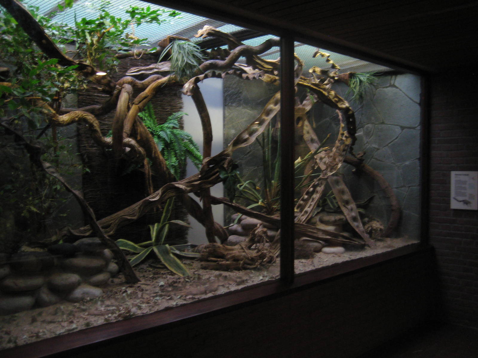 Tree shrew enclosure