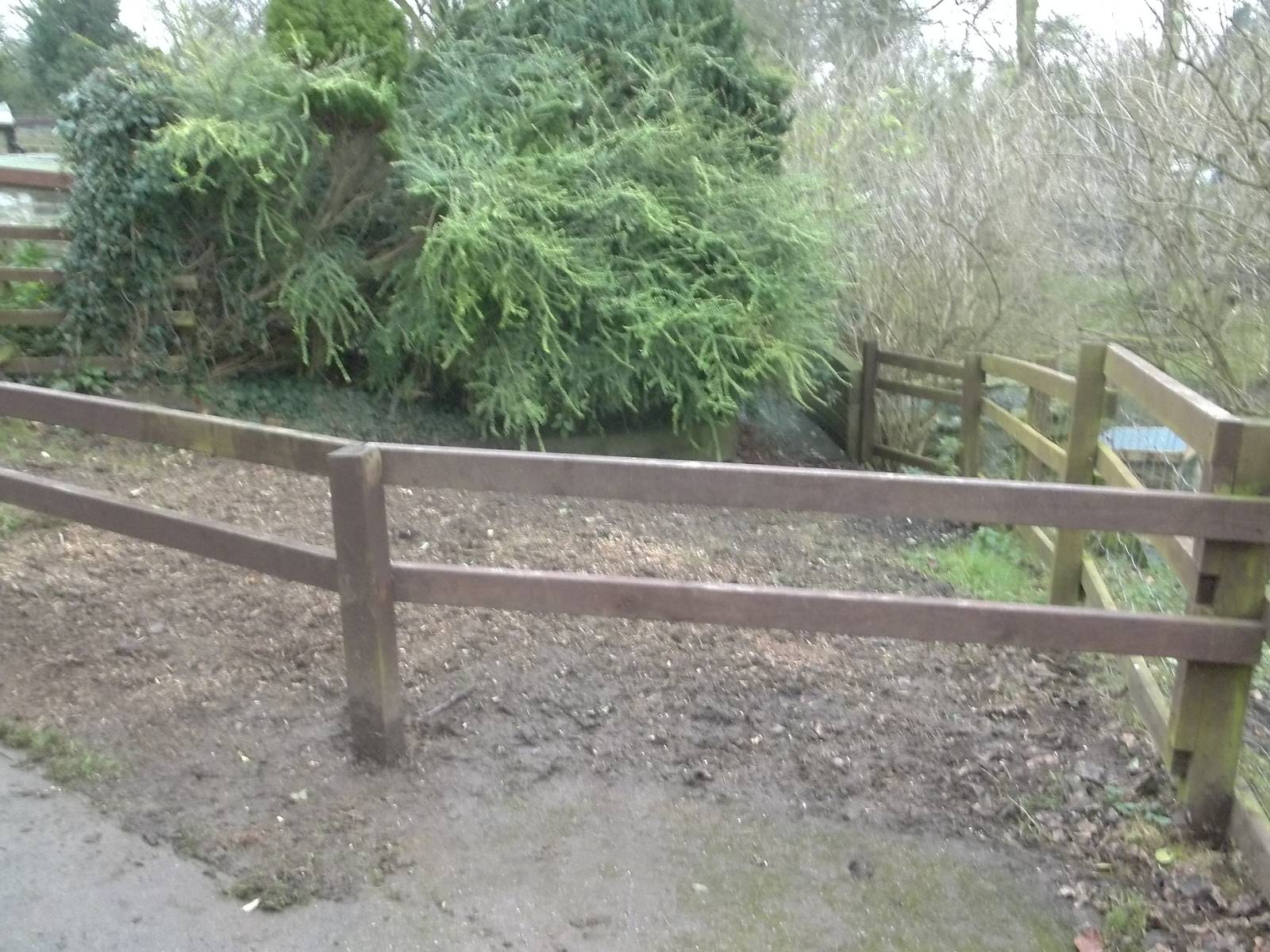 Tree stump removed, 29th November 2014