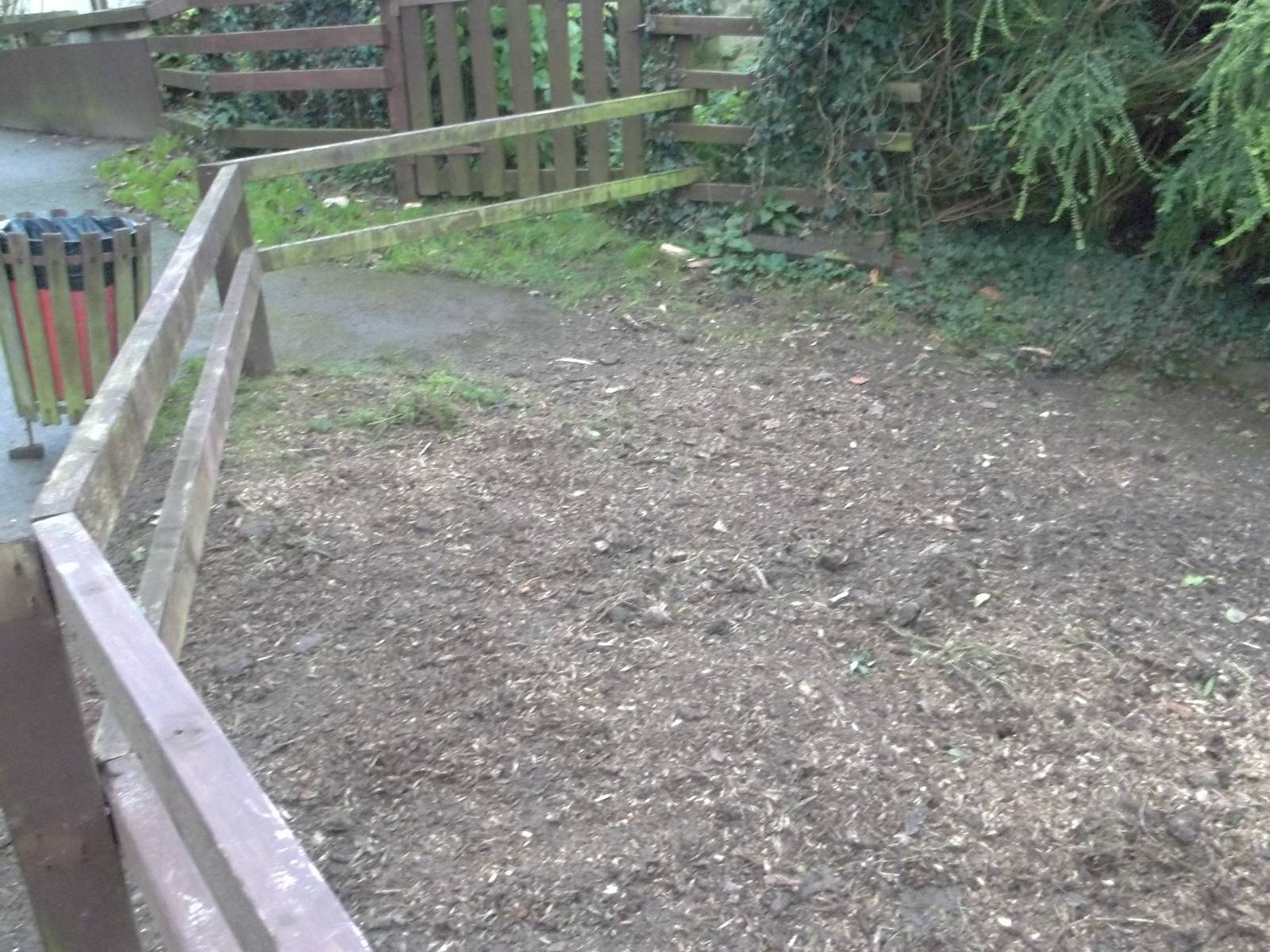 Tree stump removed, 29th November 2014