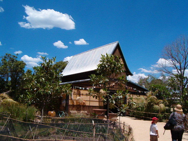 Tree Top Apes and Monkeys - Melbourne Zoo