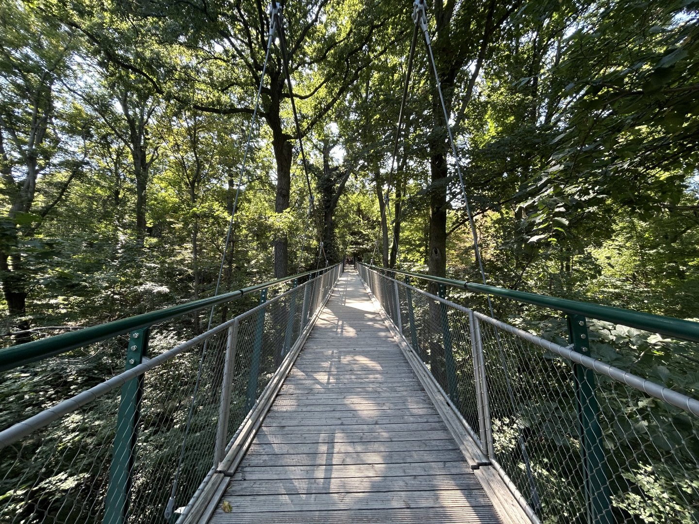 Tree-top Bridge