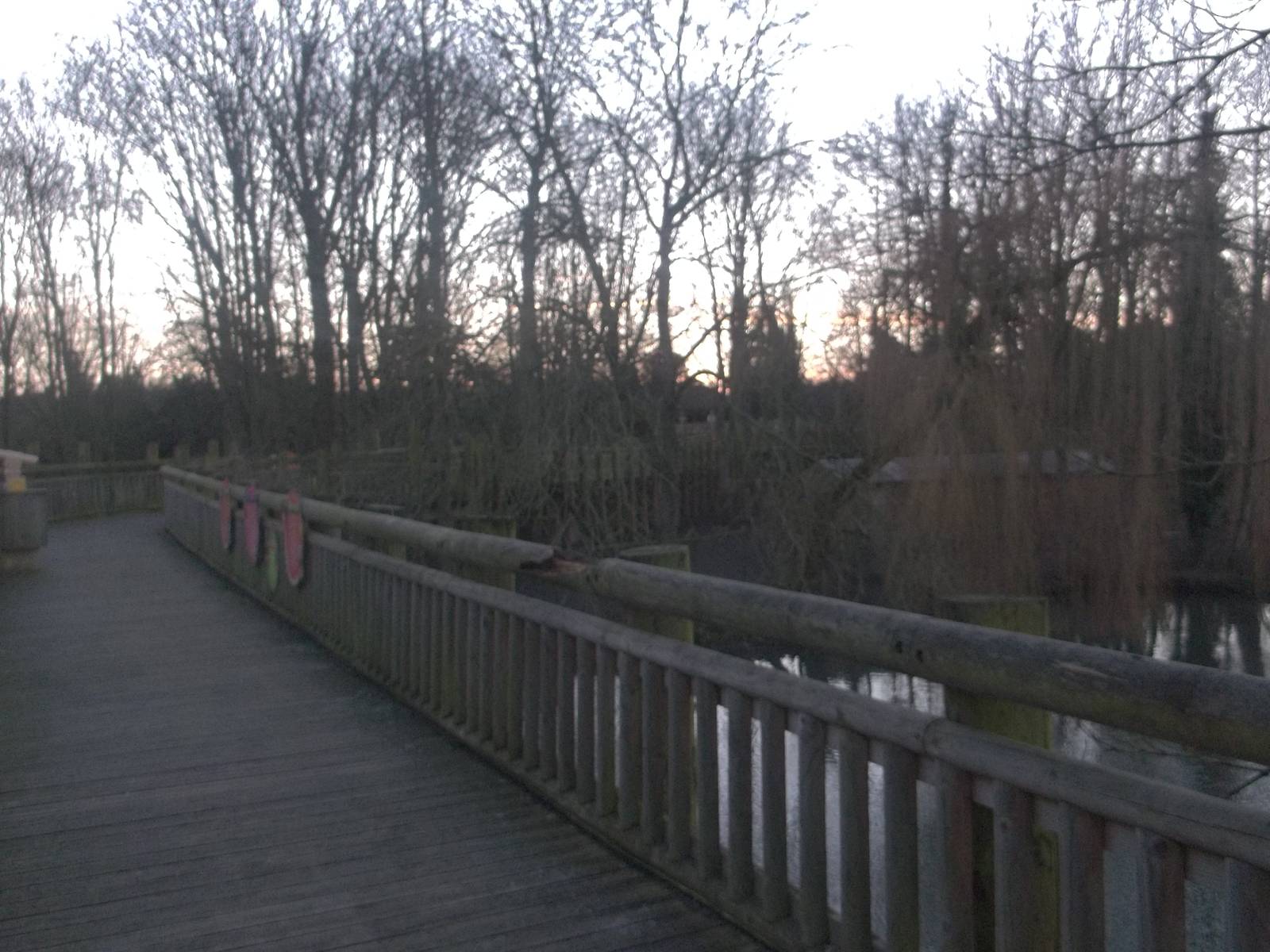 Tree Top Walk, 2nd January 2015