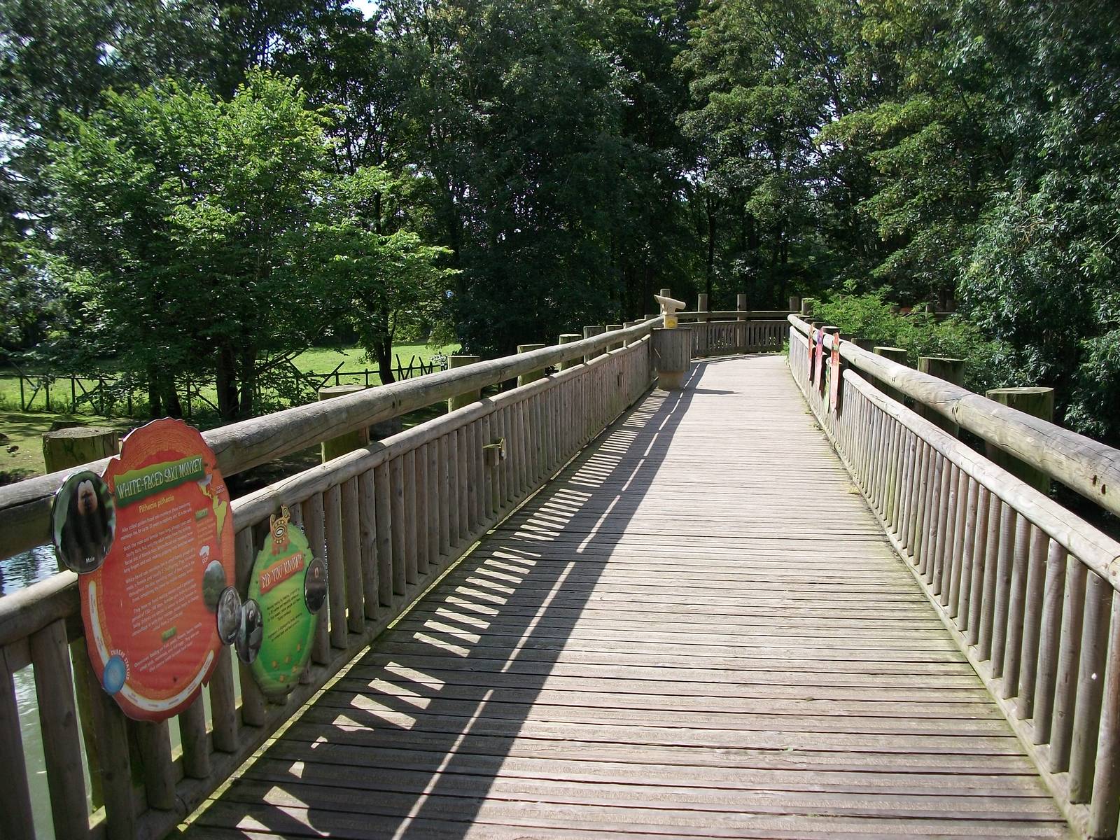 Tree Top Walk, 4th August 2014