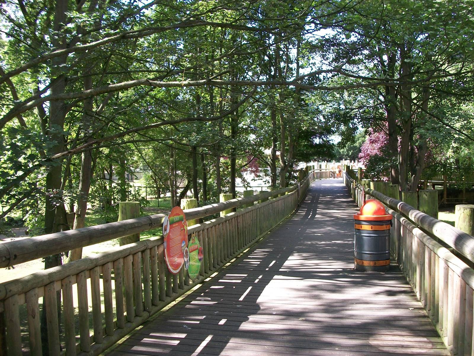 Tree Top Walk, 4th August 2014
