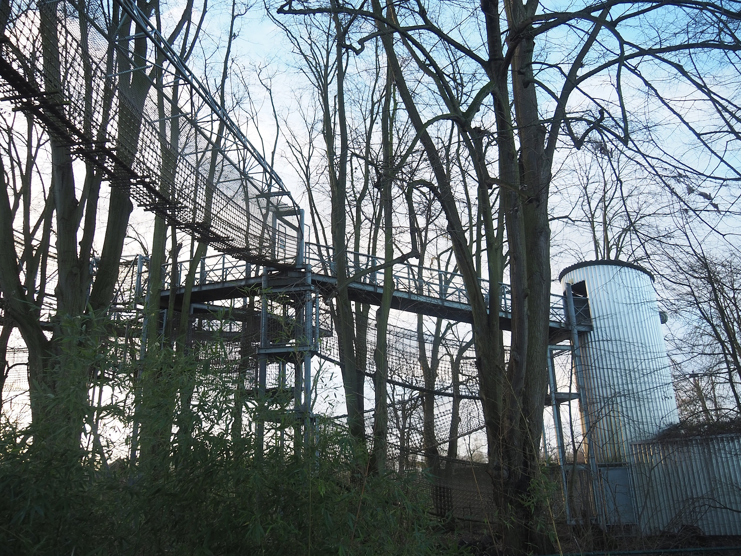 Tree-top walk and canopy adventure route structures, 2022-12-27