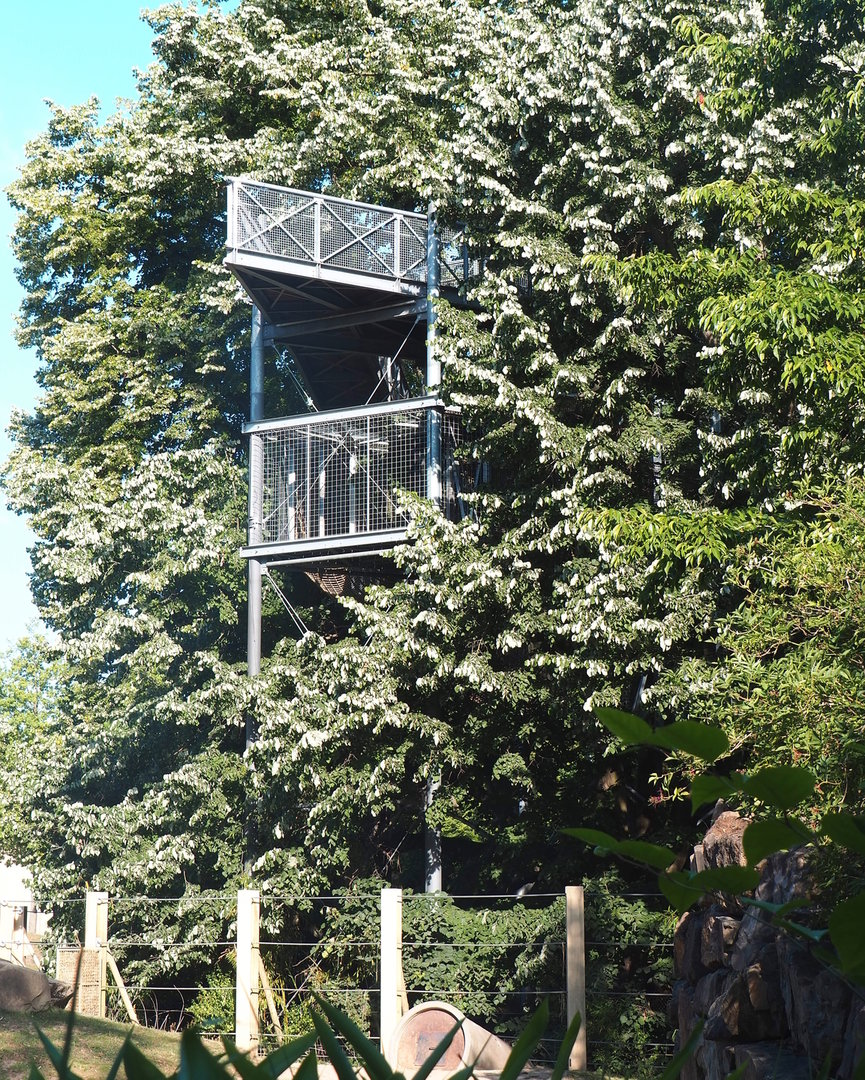 Tree-top walk Asian elephant viewing areas, 2022-07-16