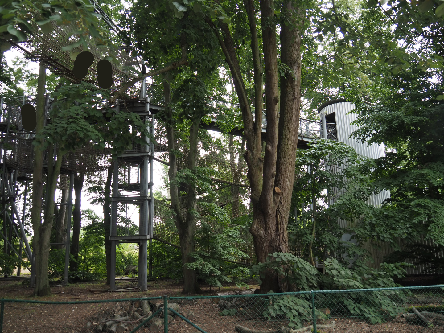 Tree top walk structures, 2020-07-14