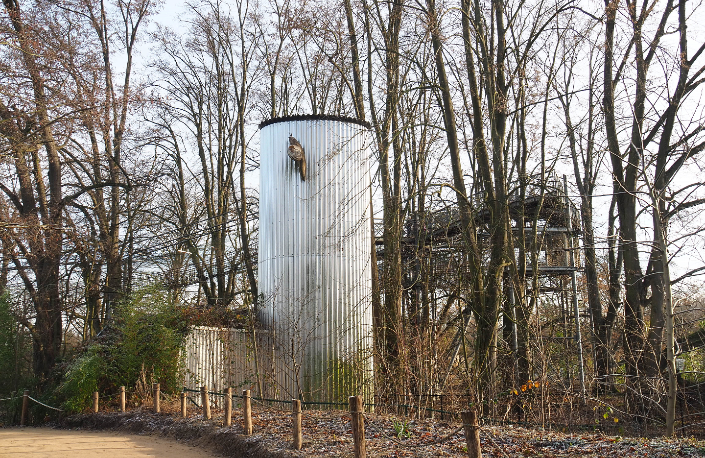 Tree-top walk structures, 2021-12-22