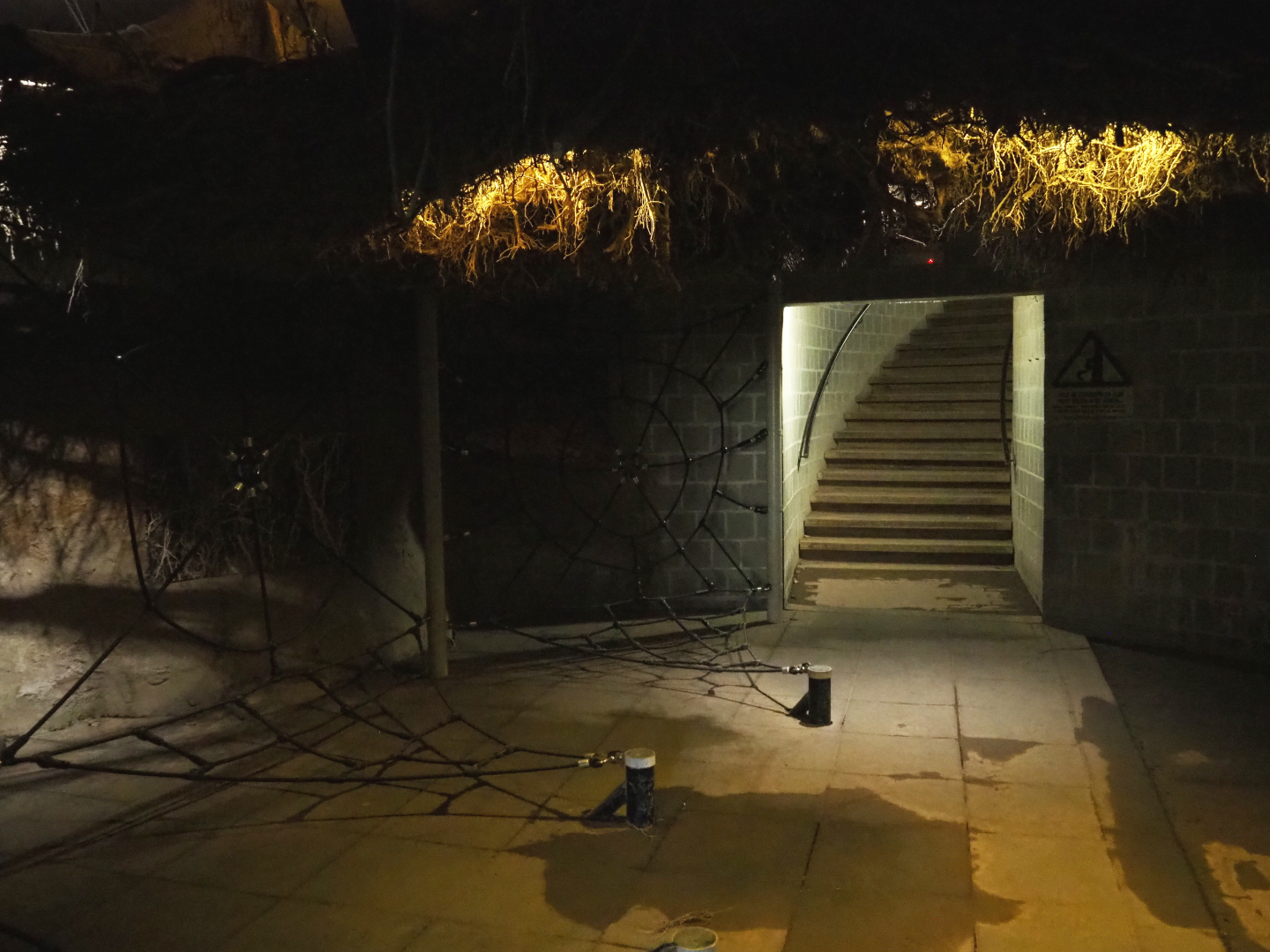 Tree-top walk - Underground room with roots, play structures and access to stairs leading to canopy, 2022-03-08