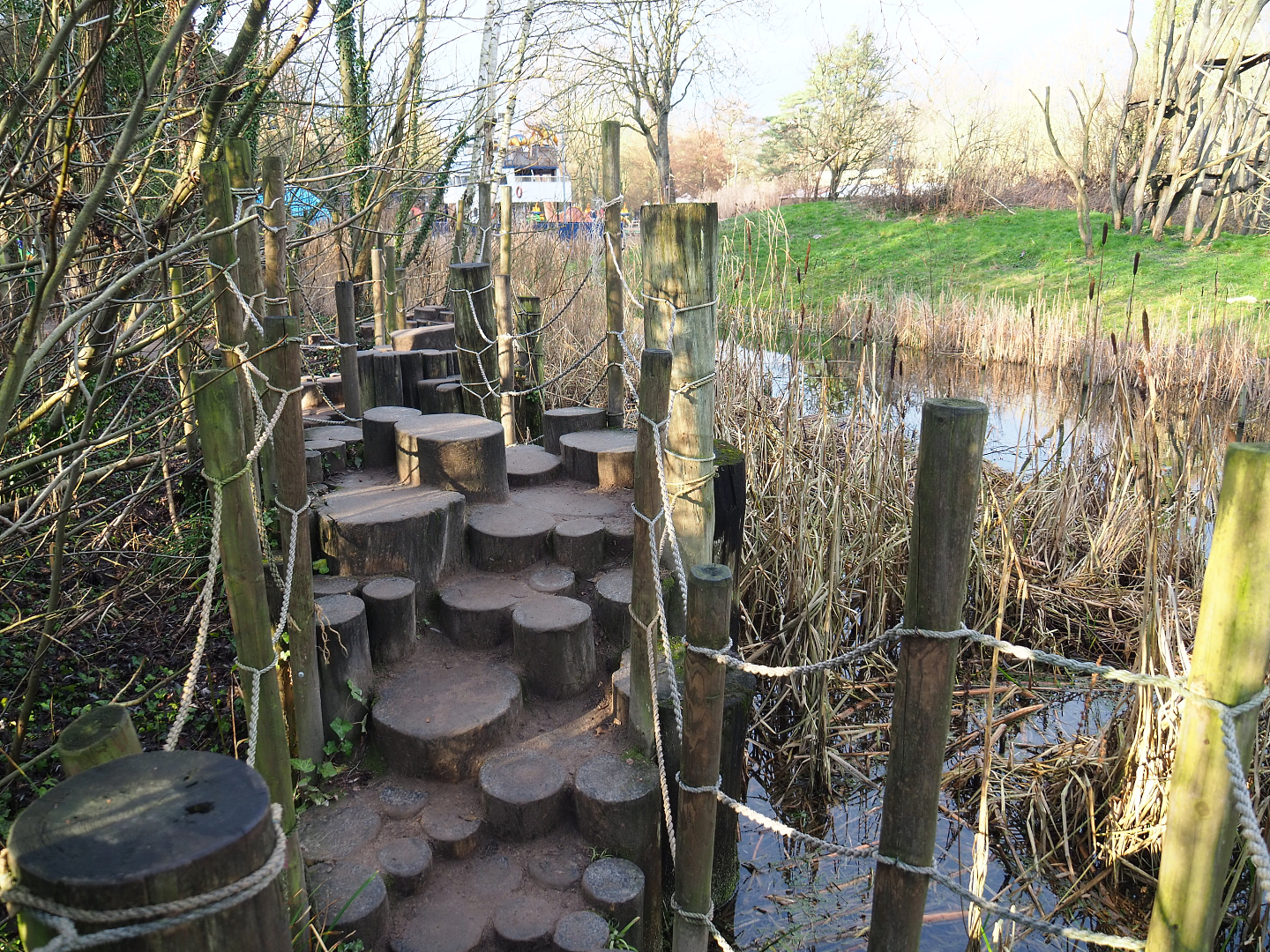 Tree trunk adventure route with view of bonobo island, 2022-01-02
