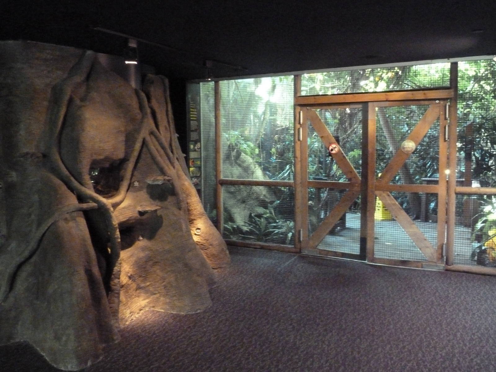 Tree Trunk Terrariums + Entrance to Amazon Jungle