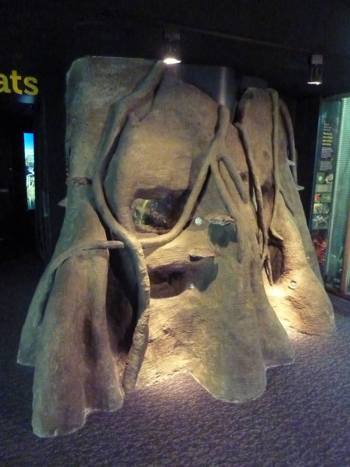 Tree Trunk Terrariums