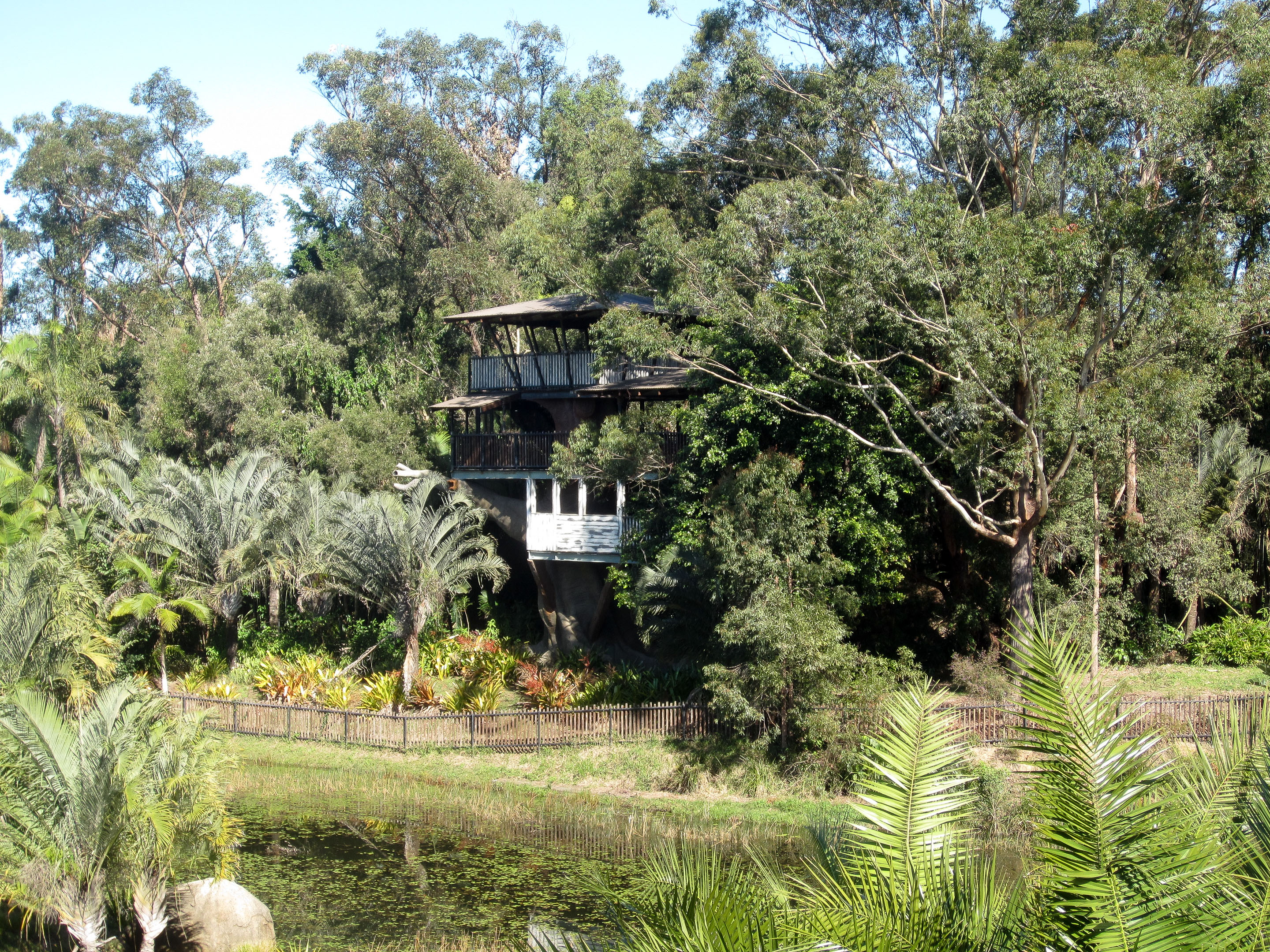 Treehouse on "Bindi's Island"