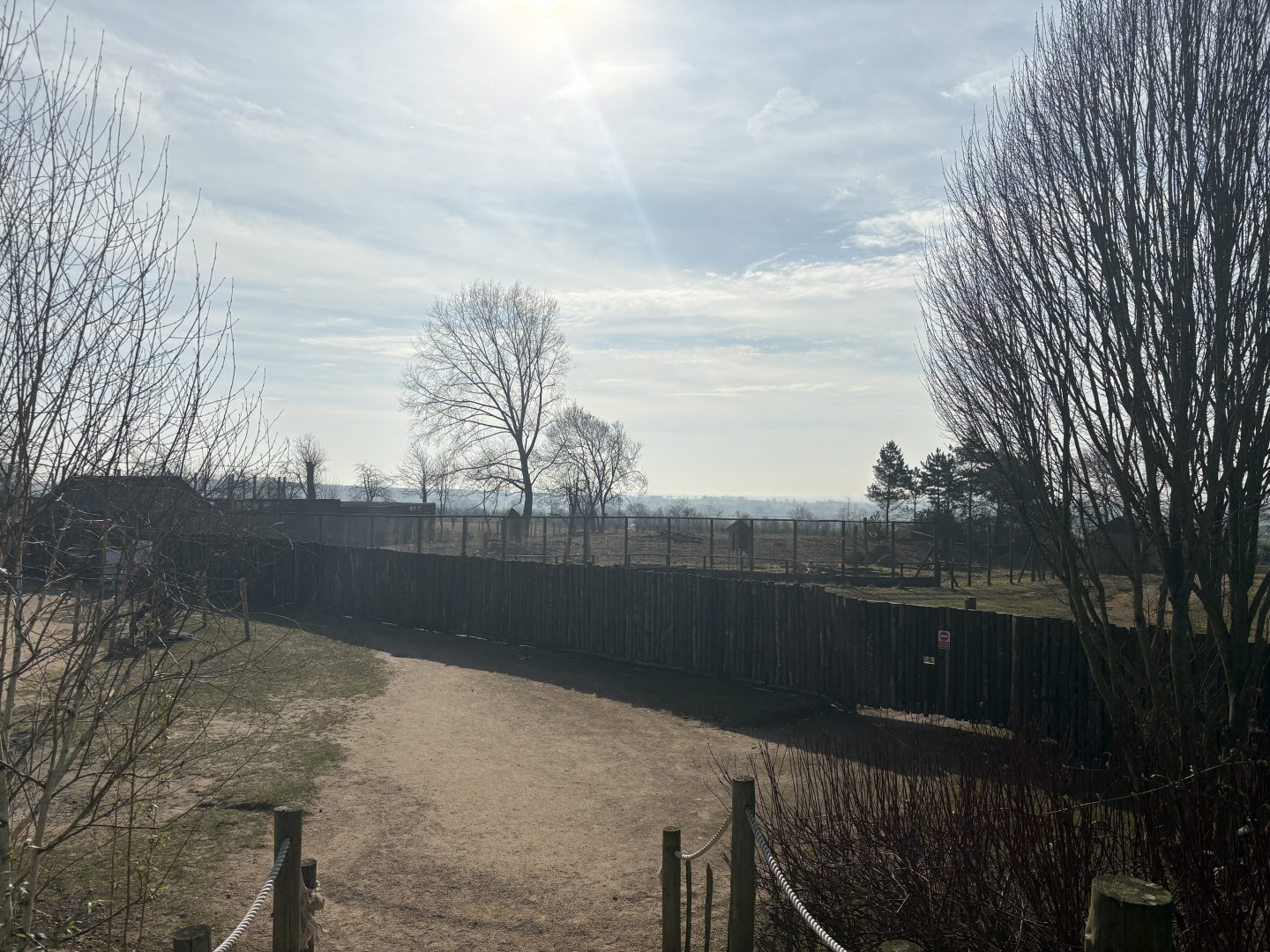 Trees Being Cleared For NSCC!
