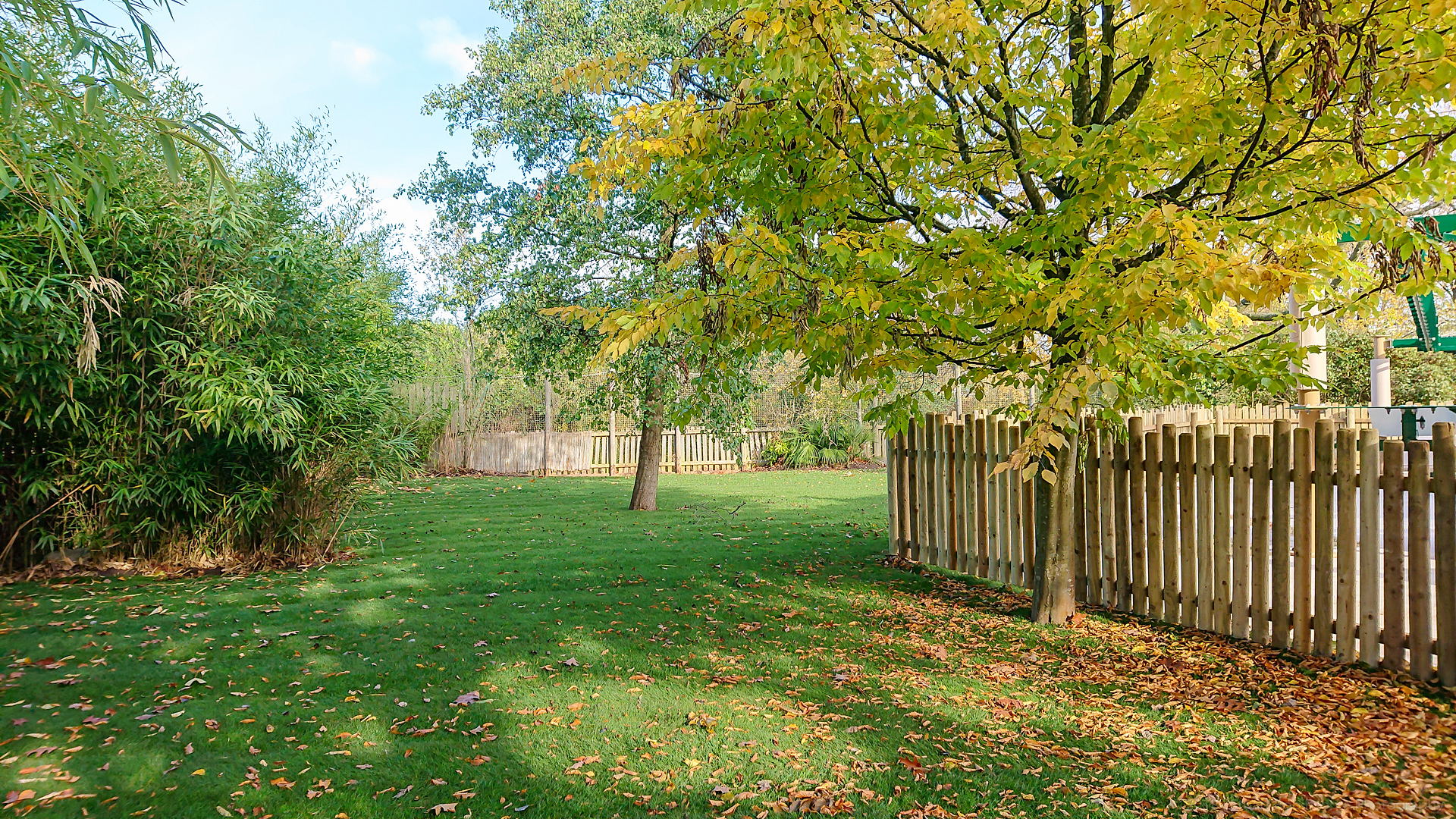 Treetop Challenge - 27/10/2018