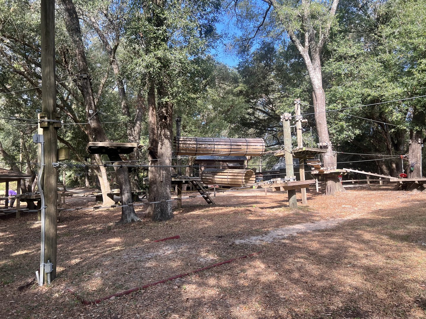Treetop Rope and Bridge Course