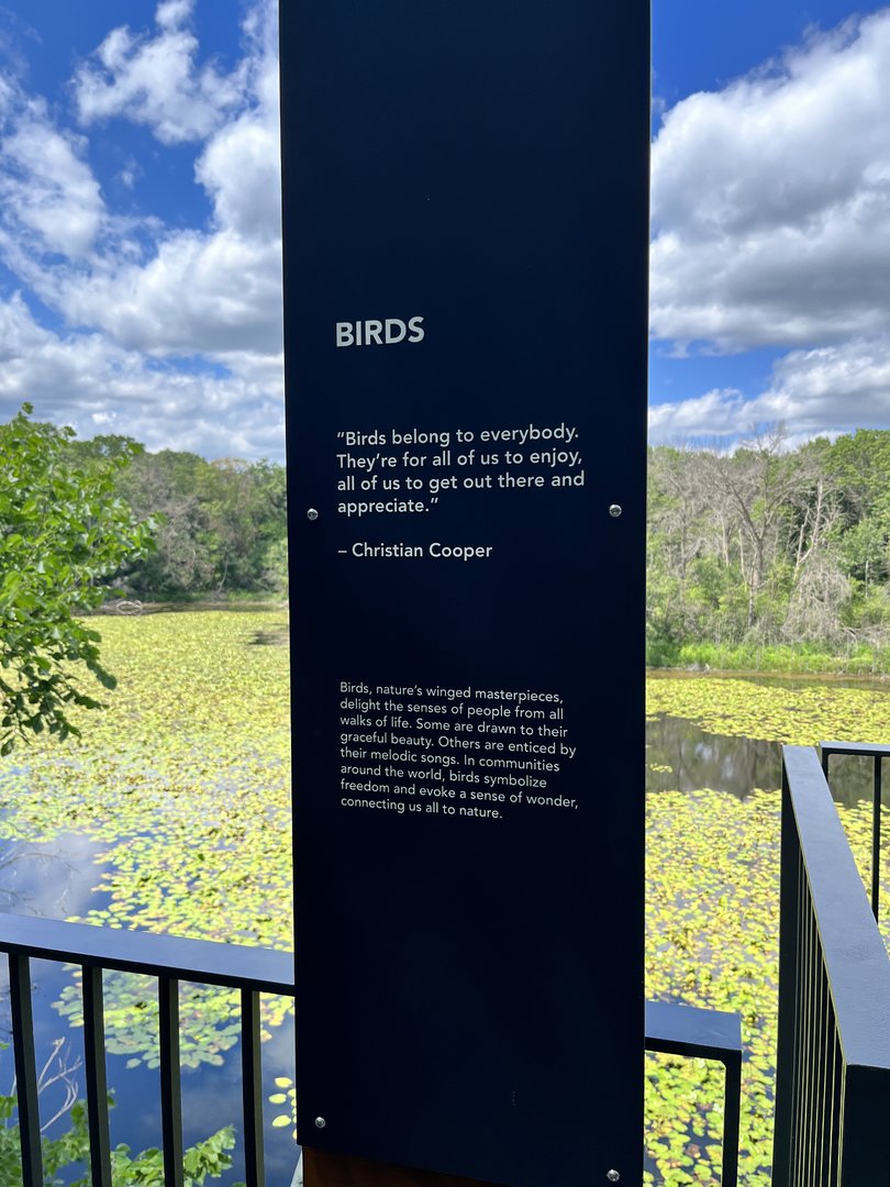 Treetop Trail - Birds Sign