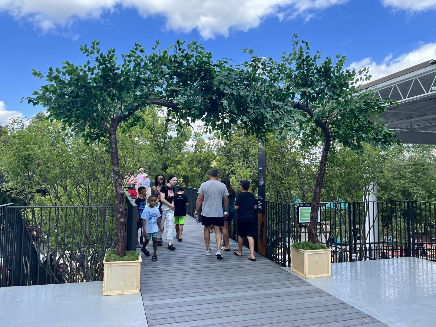 Treetop Trail - Entrance