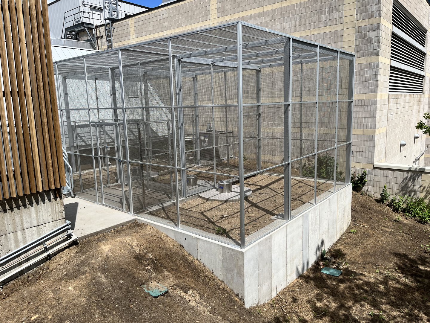 Treetop Trail - Former(?) Off-Exhibit Holding