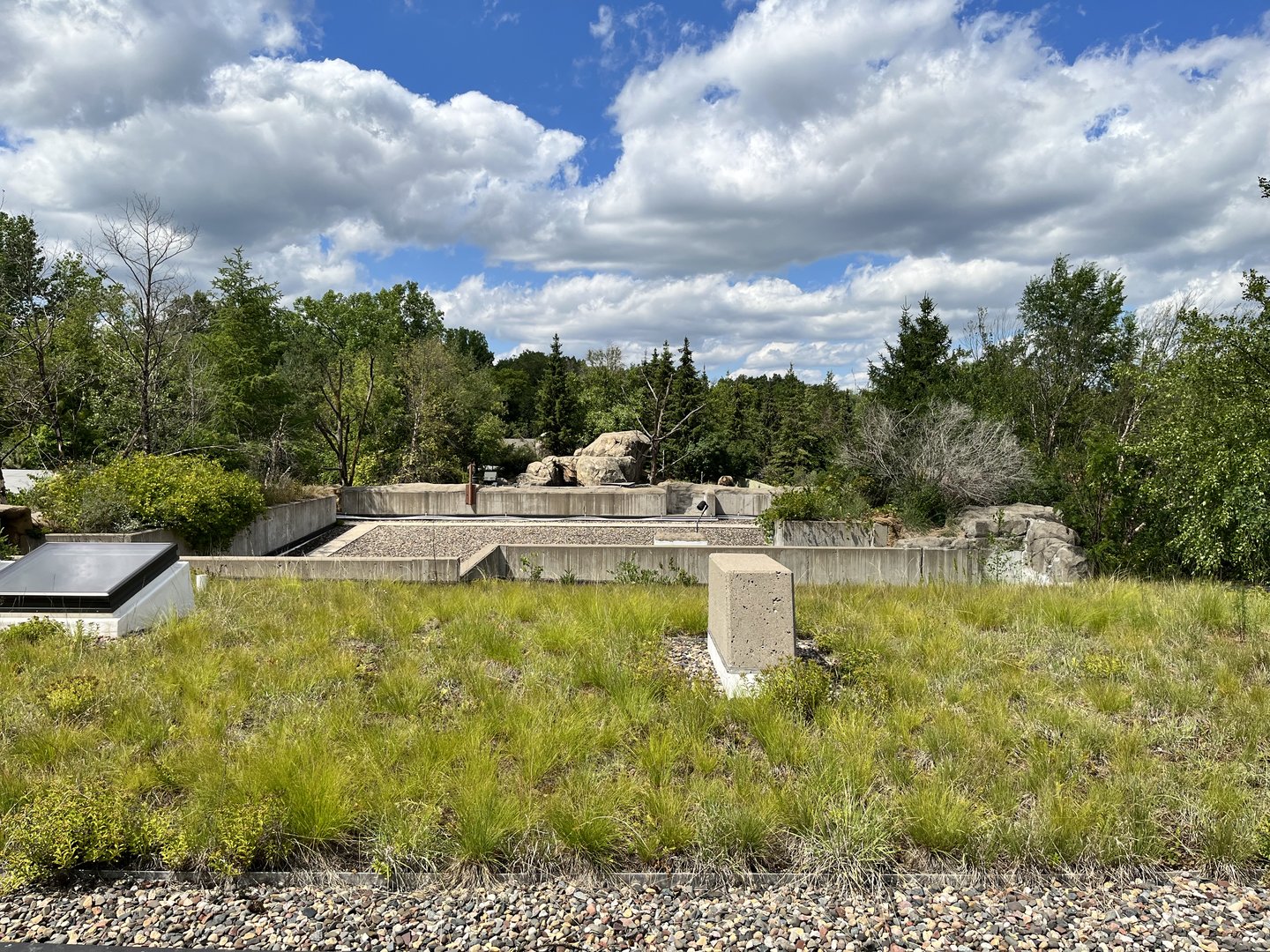 Treetop Trail - Grizzly Bear Exhibit from the Treetop Trail