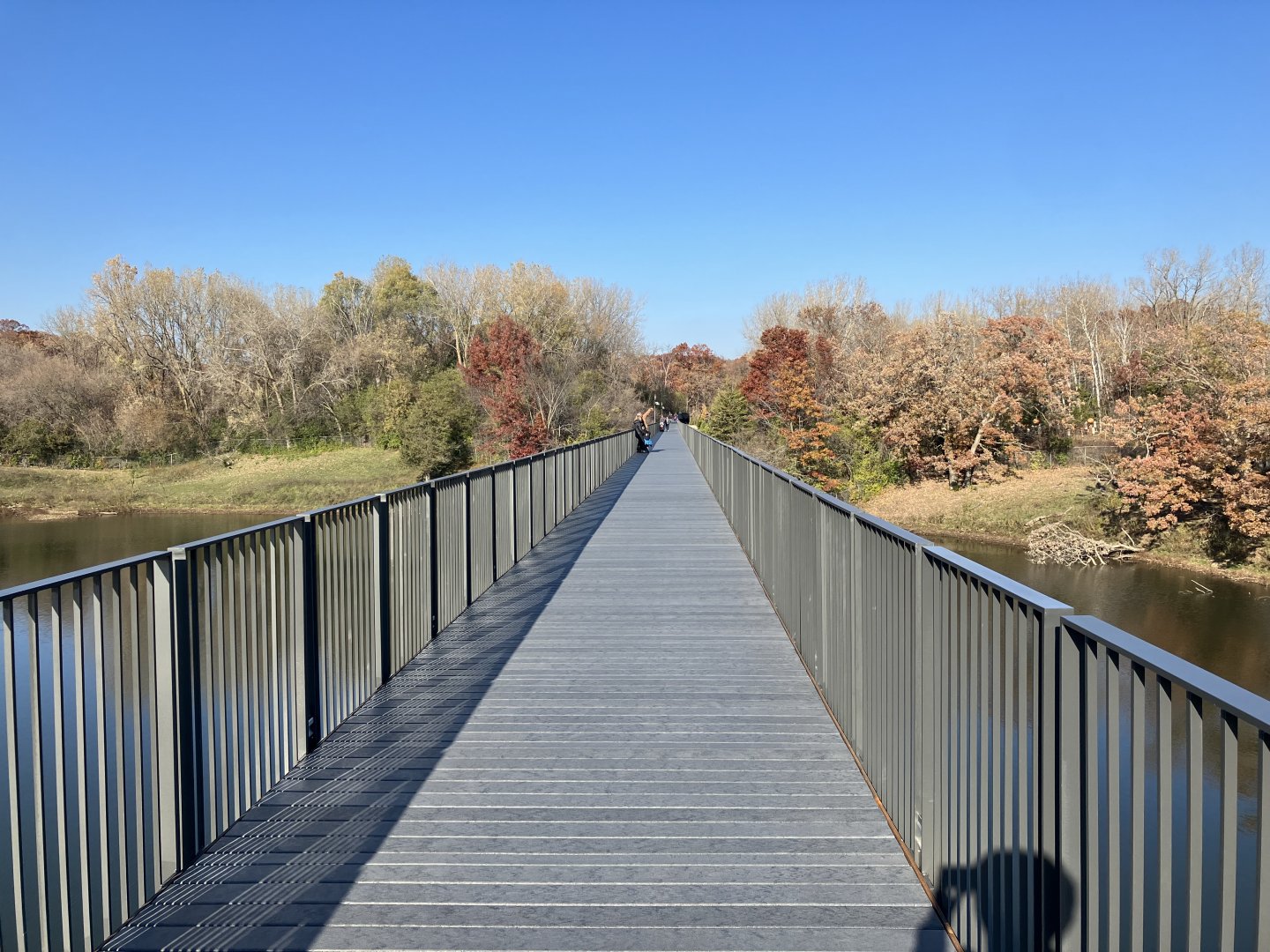 Treetop Trail - Path