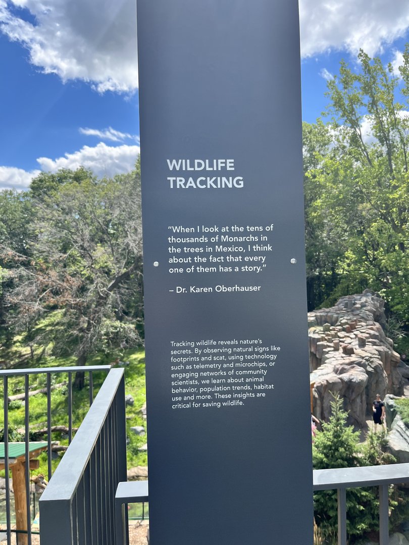 Treetop Trail - Wildlife Tracking Sign