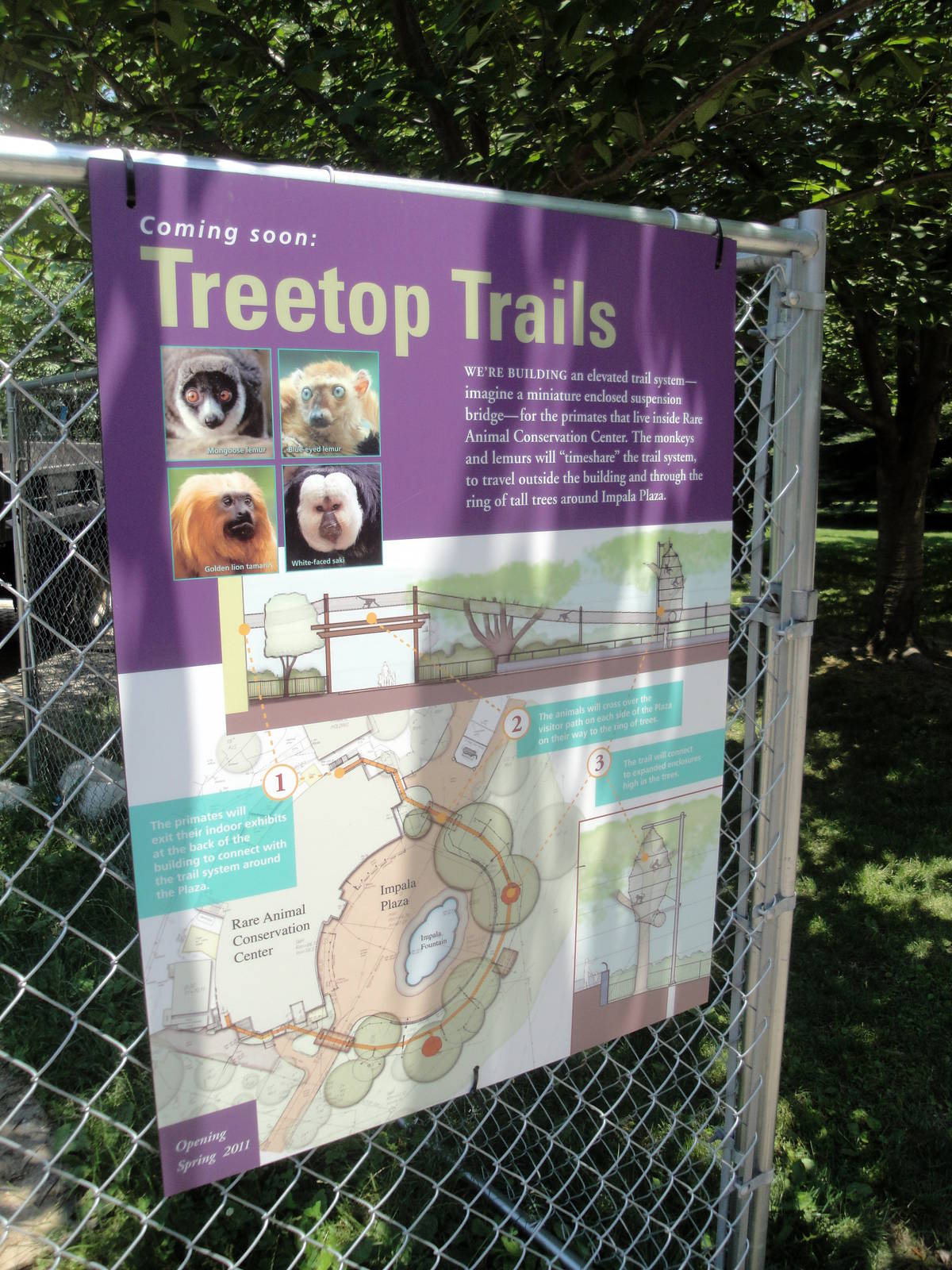 Treetop Trails Graphic