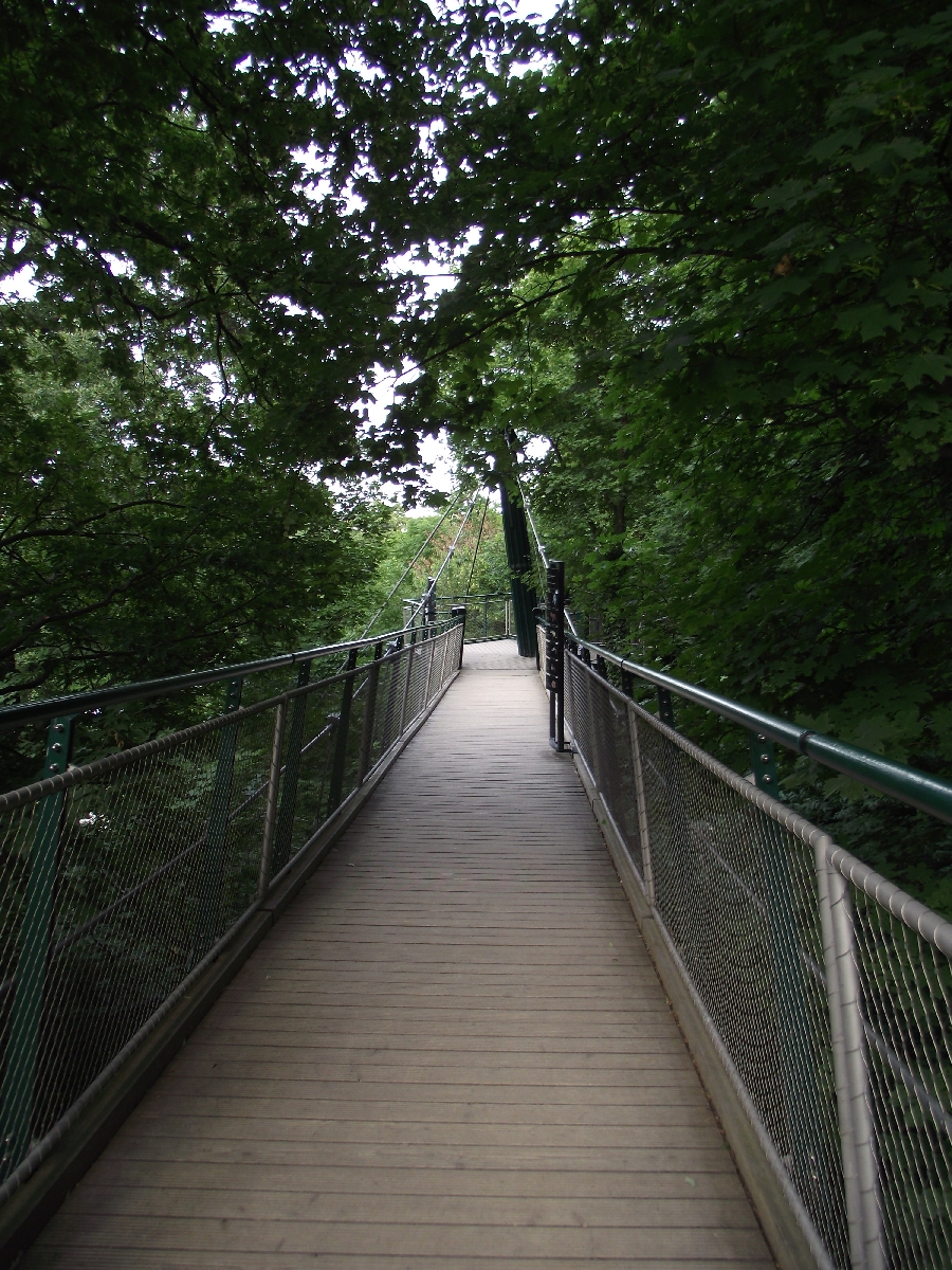 Treetop Walk