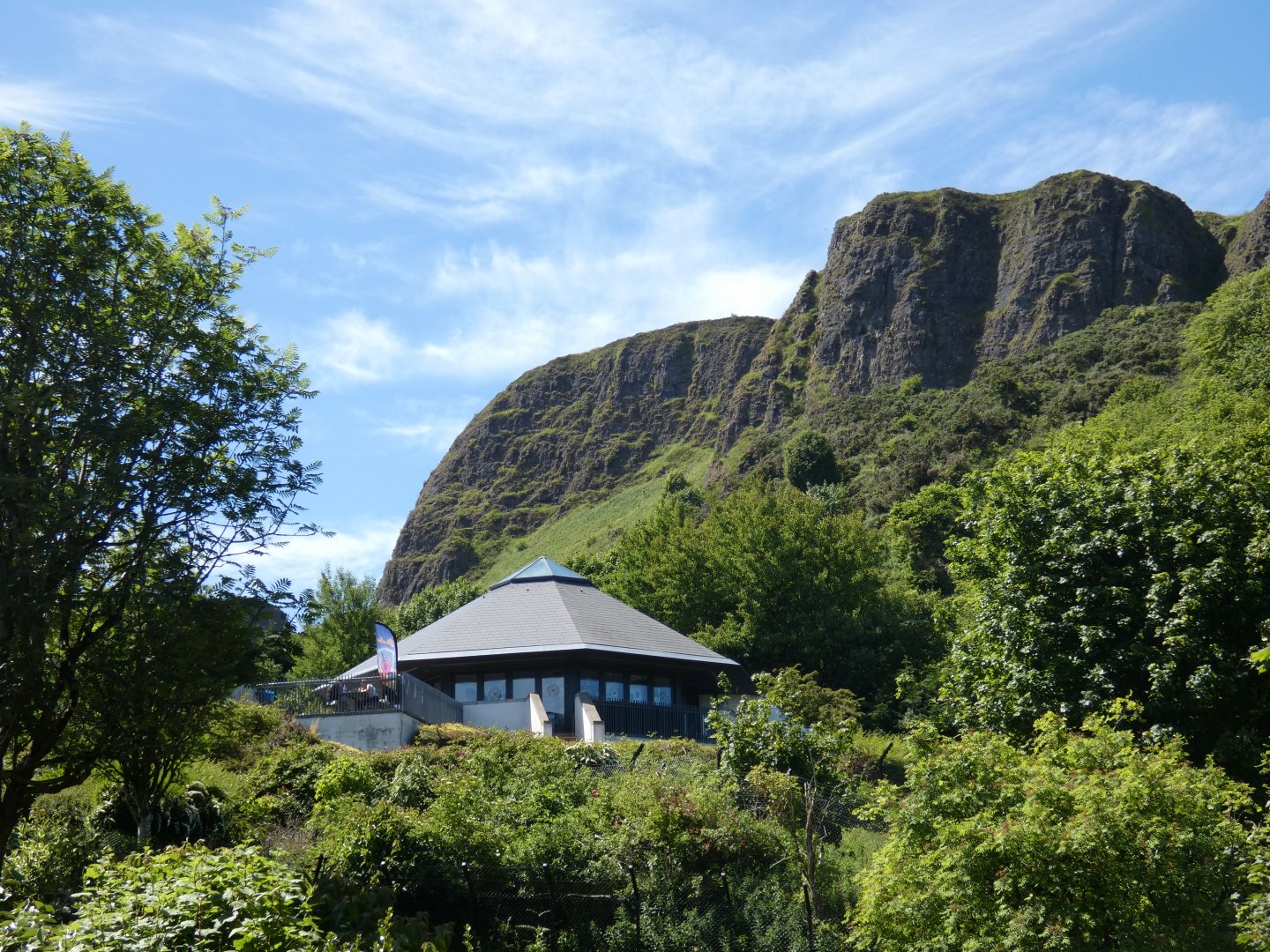 Treetops Tearoom Cafe