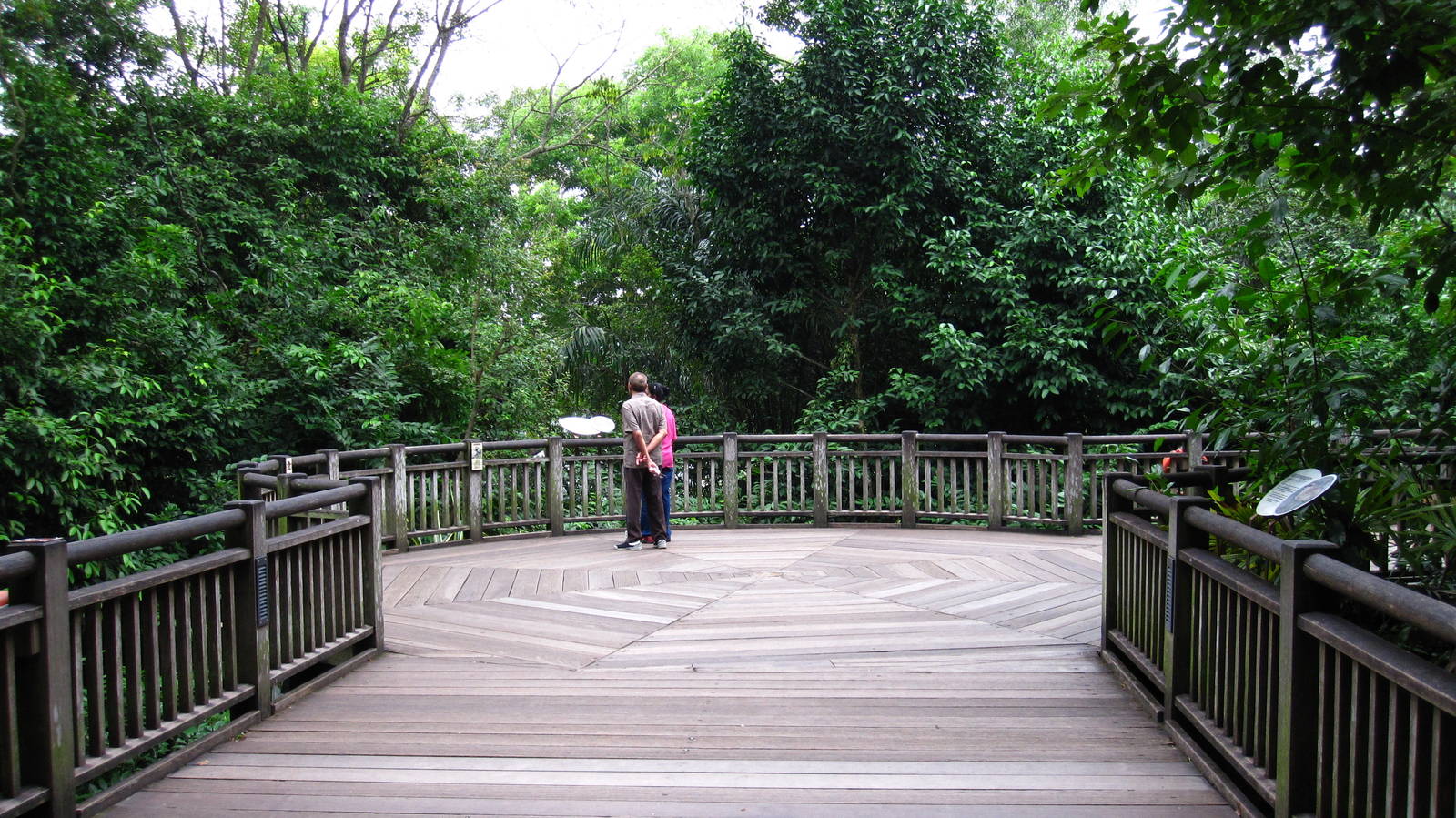 Treetops Trail - Singapore Zoo