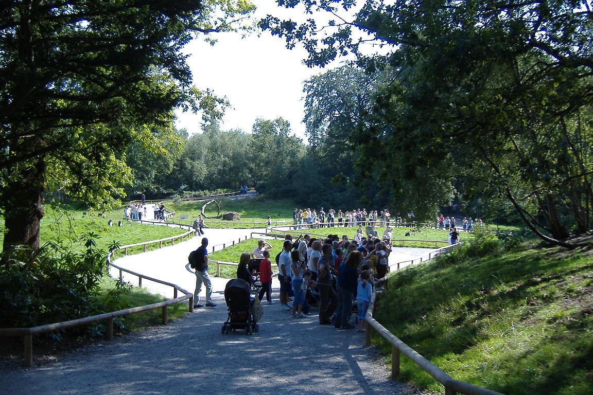 Trentham Gardens reserve
