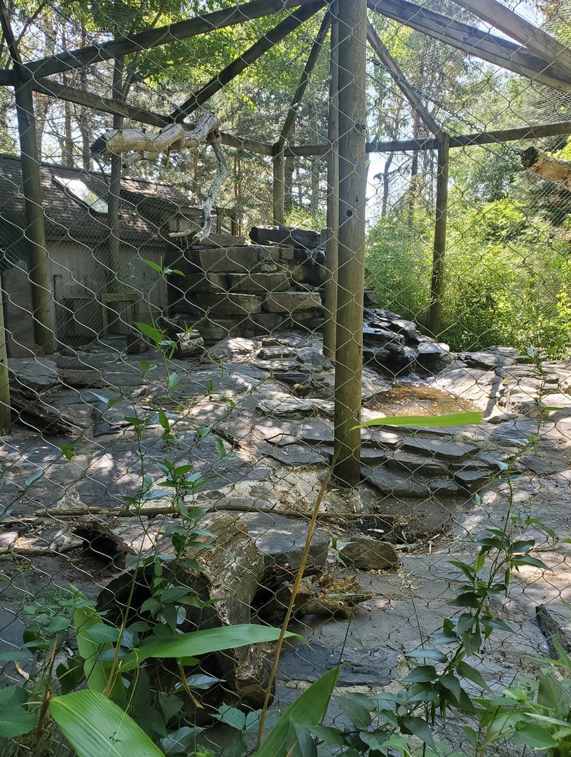 Trevor Zoo - Kea enclosure