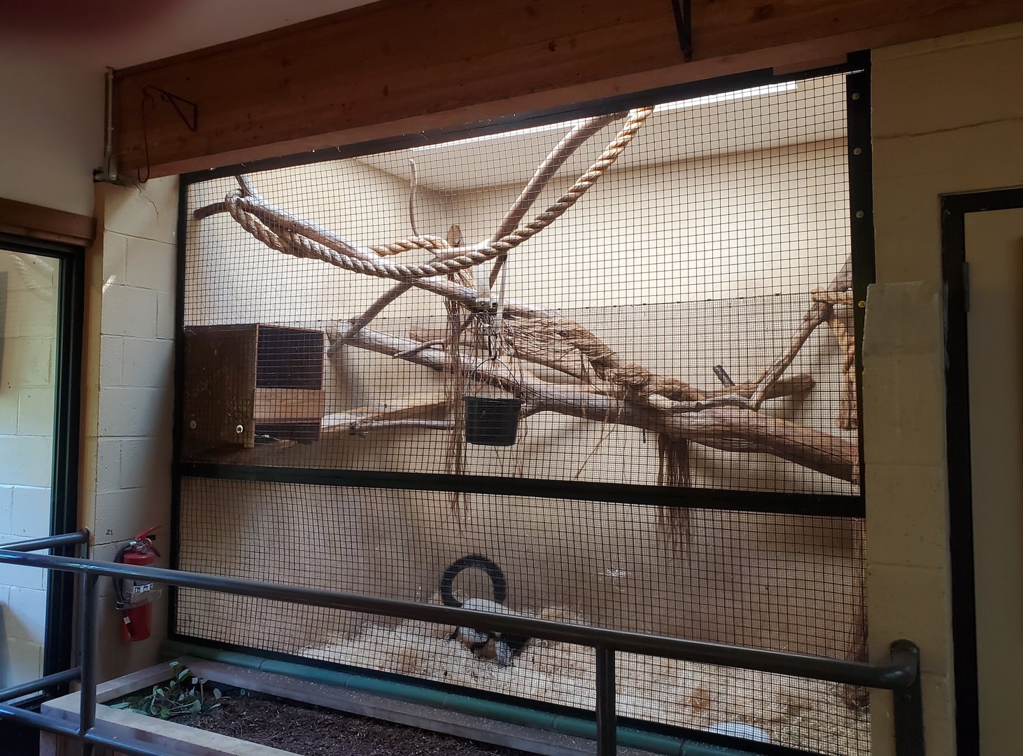 Trevor Zoo - Lemur indoor area