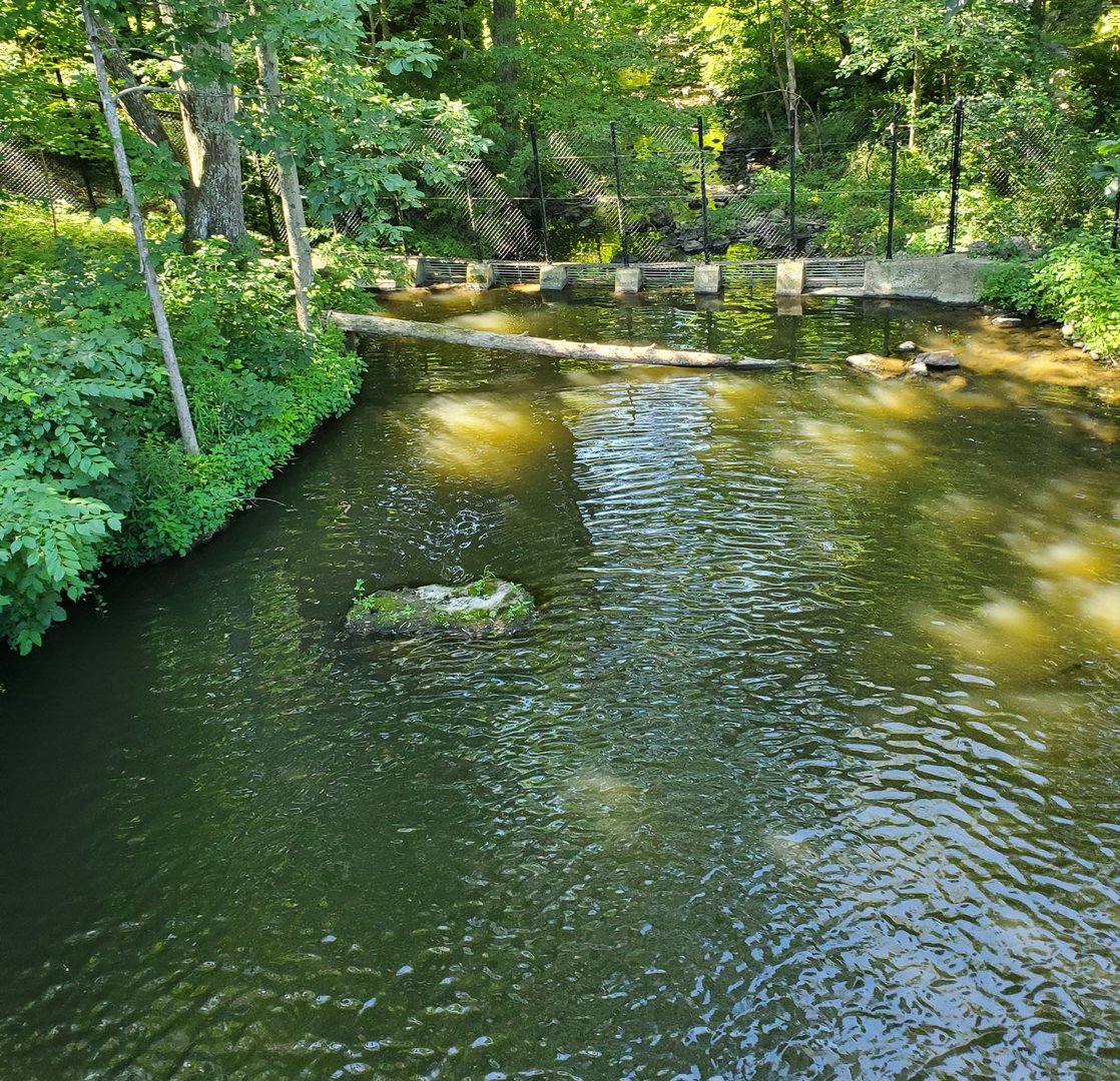 Trevor Zoo - Otter exhibit