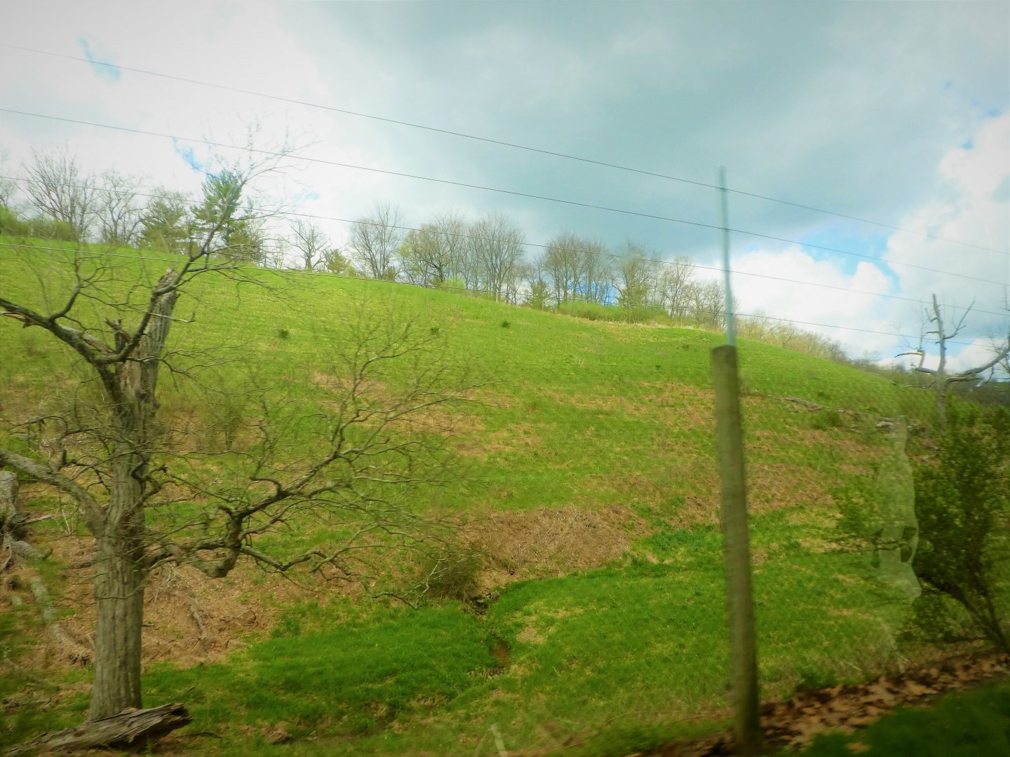 Trexler Nature Preserve - 10 Acre (4 Hectare) Rocky Mountain Elk Exhibit