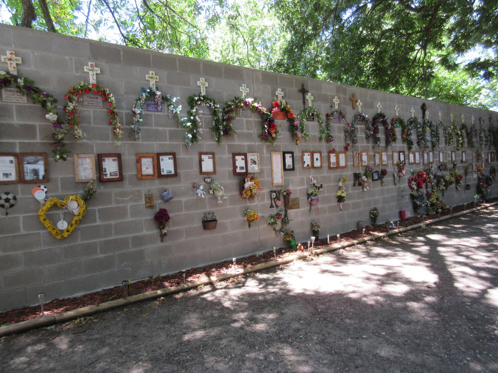 Tribute to deceased felines