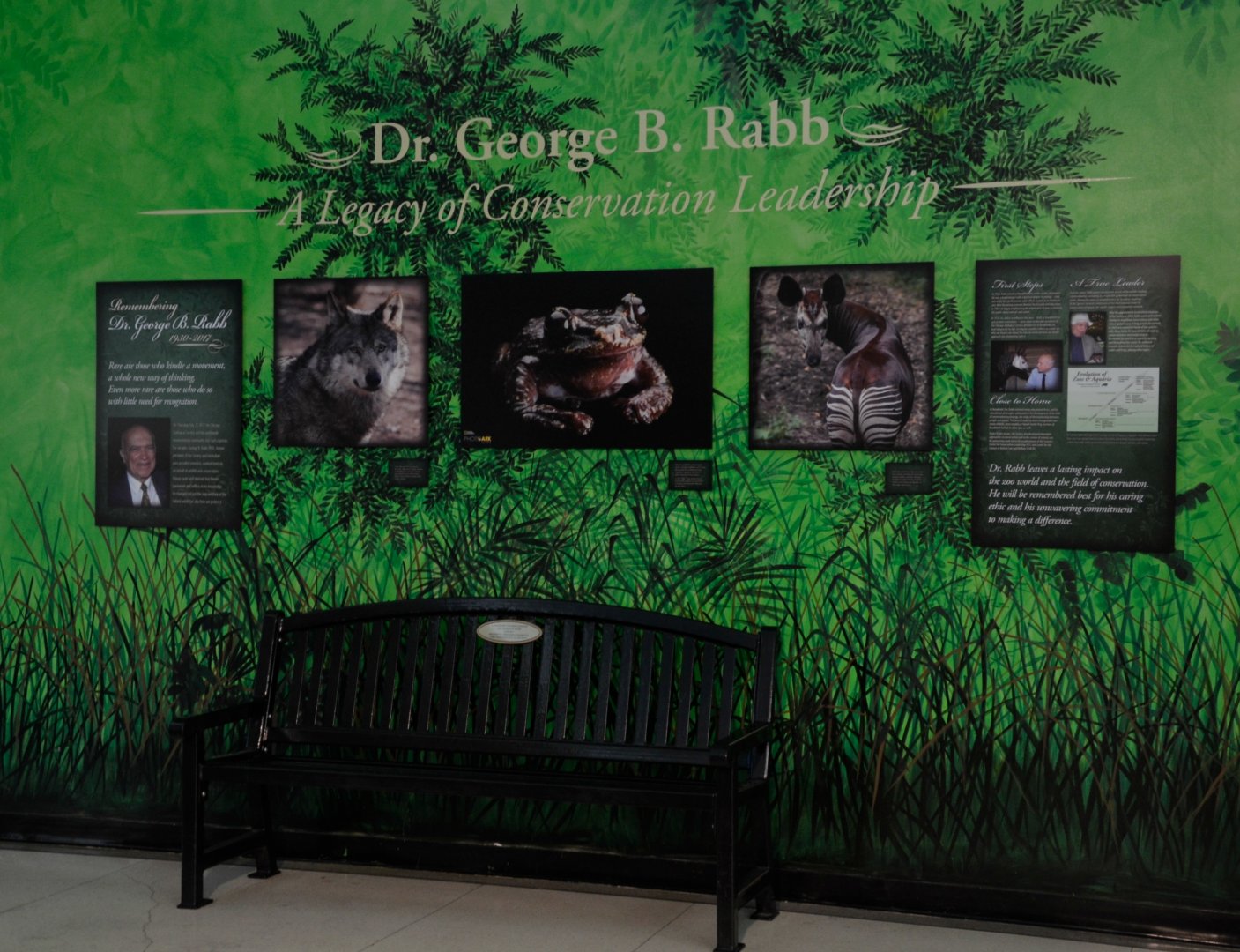 Tribute to Dr Rabb in Feathers & Scales building