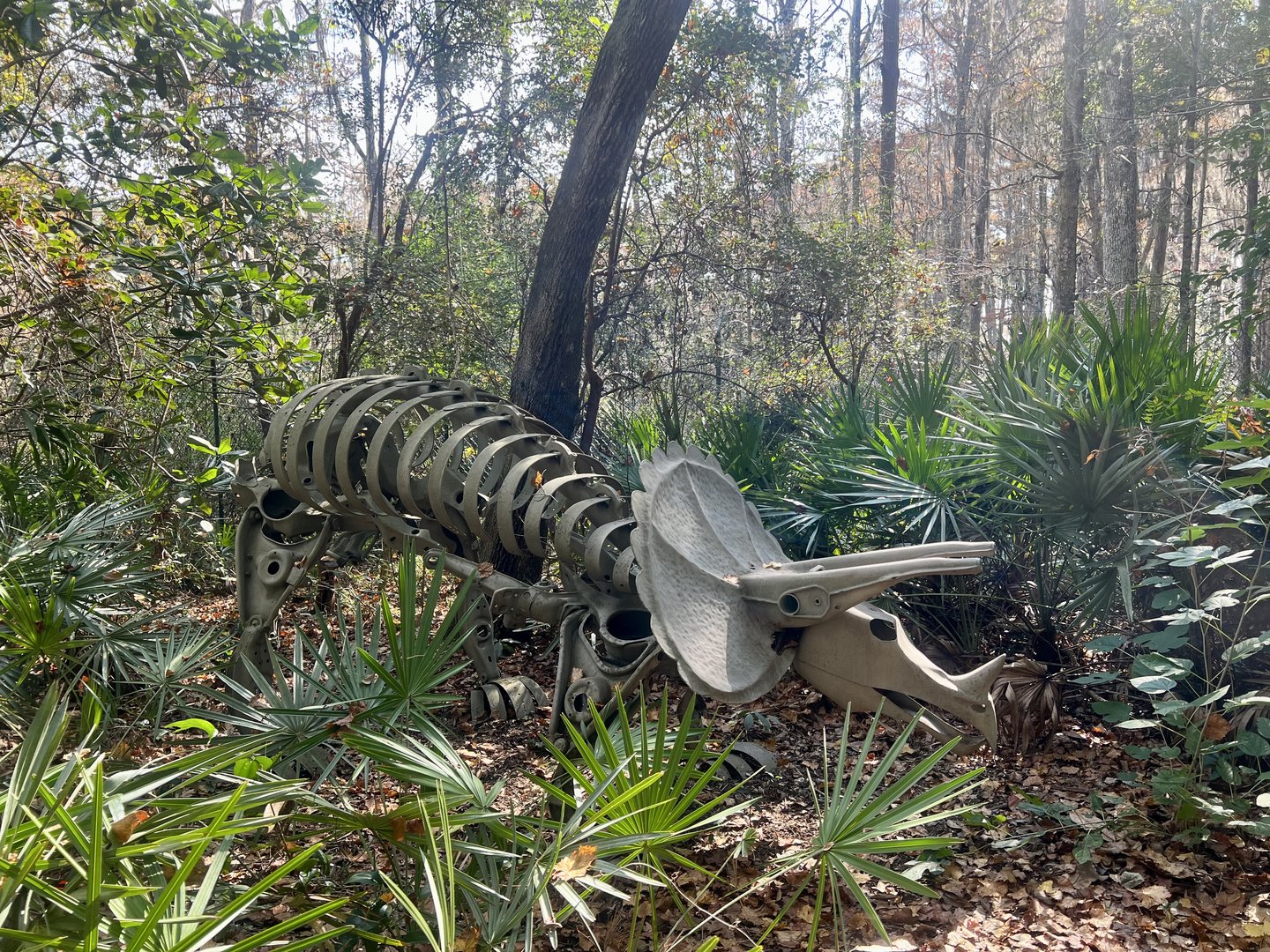 Triceratops (every kids favorite dinosaur)