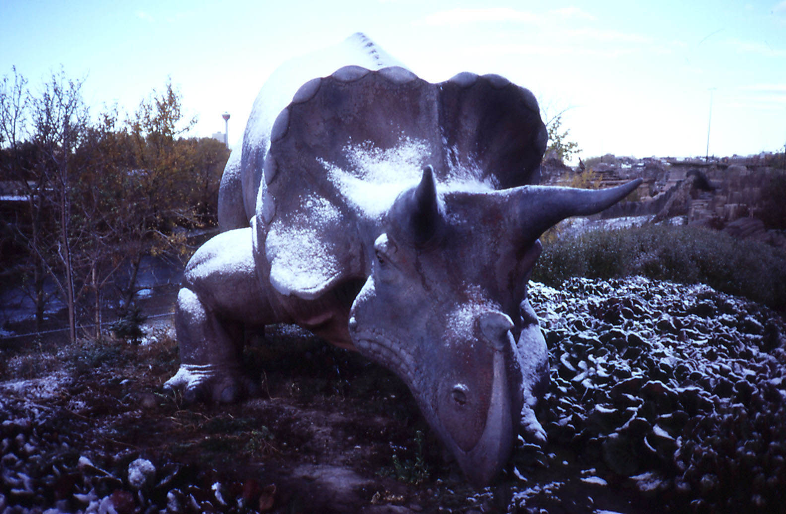 Triceratops, Prehistoric Park - 1987