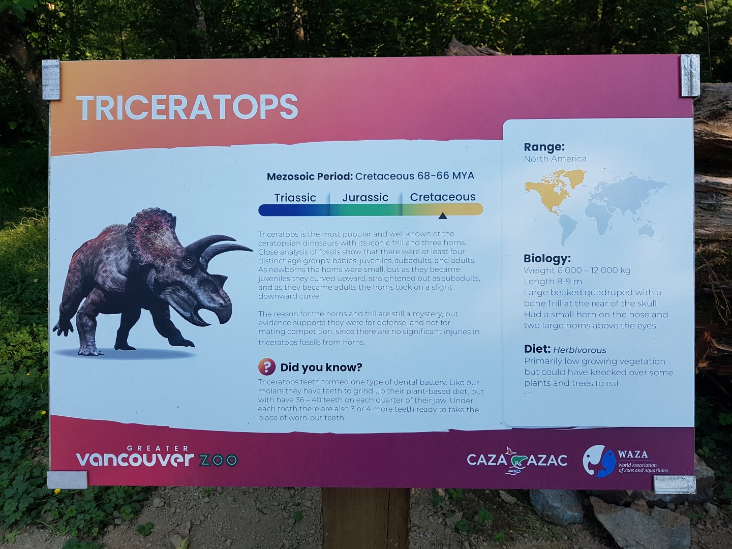 Triceratops Sign