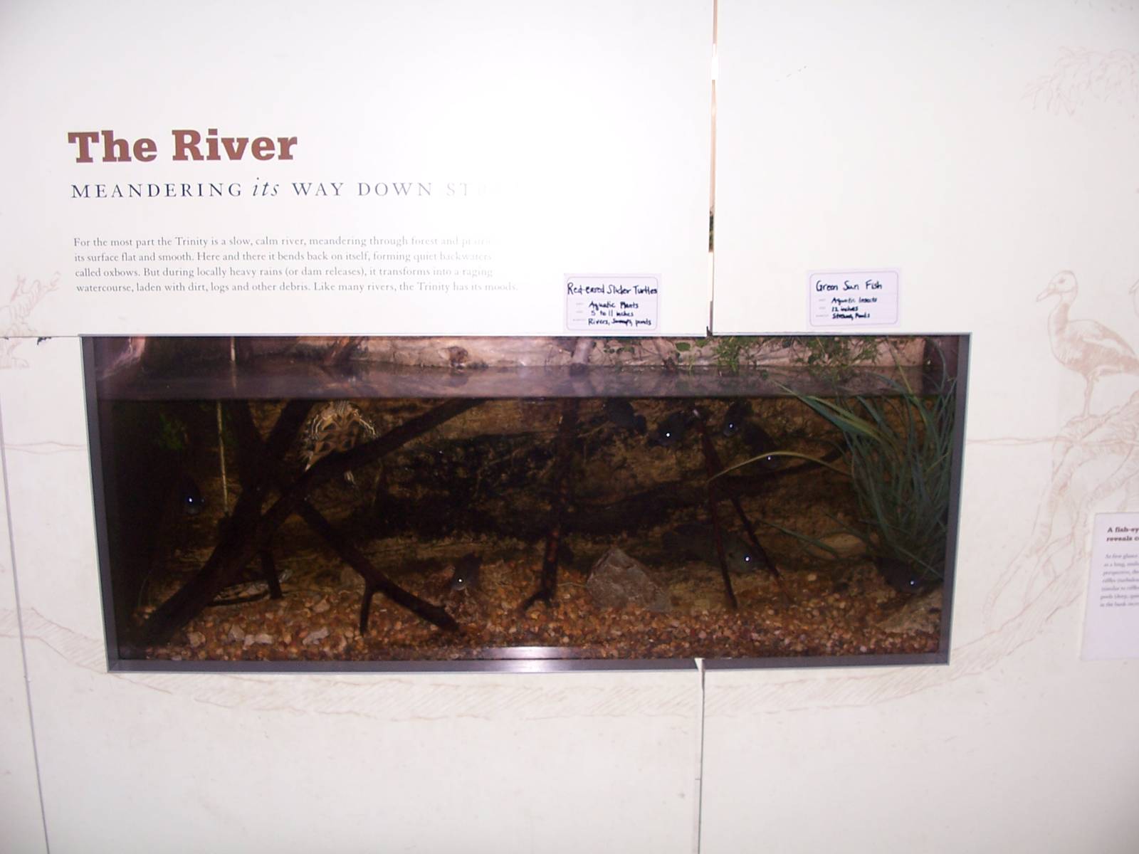 Trinity River Audubon Center - Indoor River Aquarium