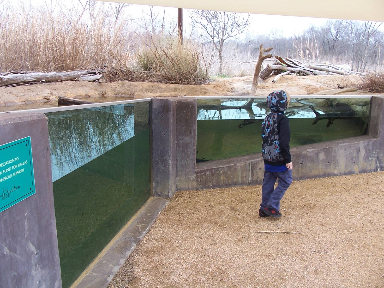 Trinity River Audubon Center - Outdoor Aquarium