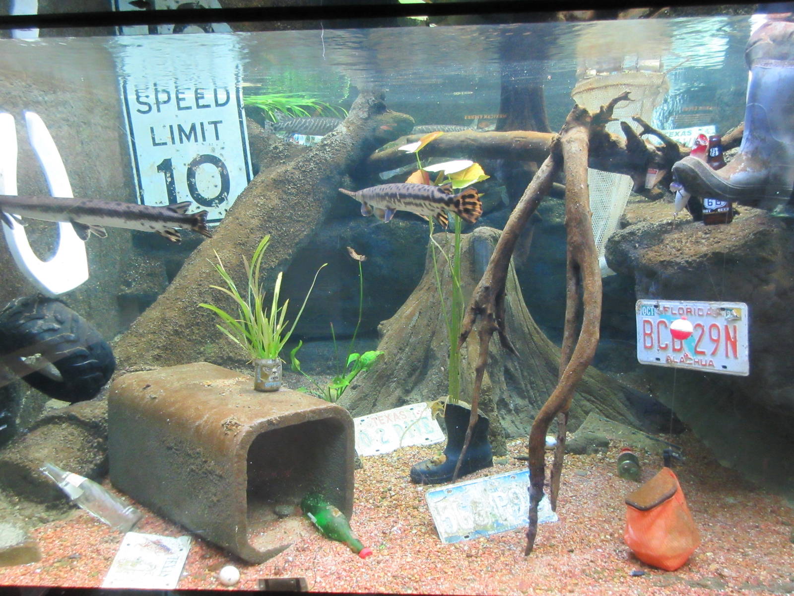 Trinity River Exhibit - lots of junk!