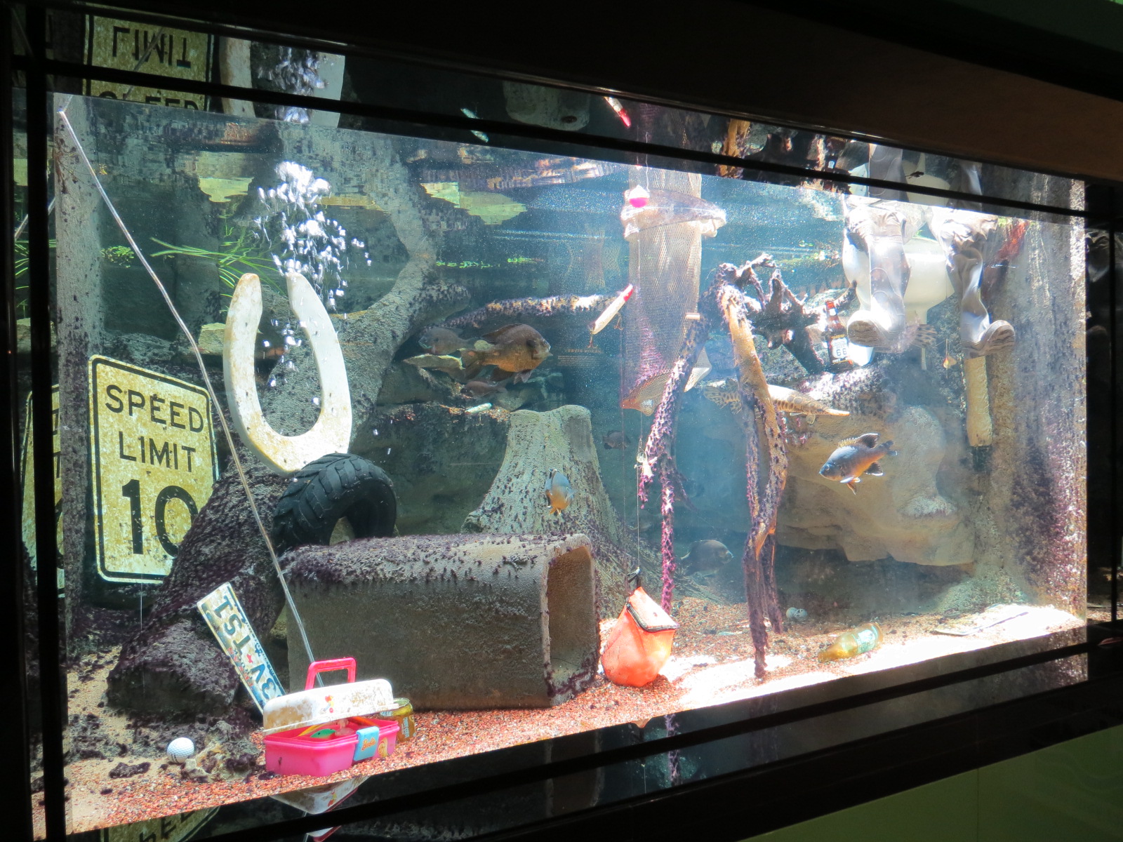 Trinity River Exhibit