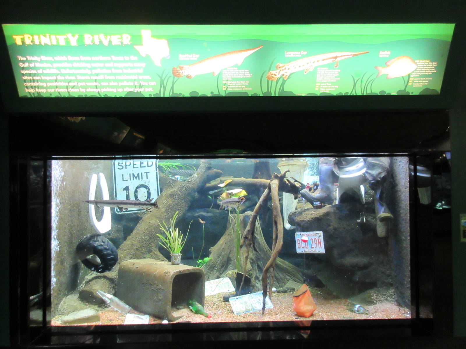 Trinity River Exhibit